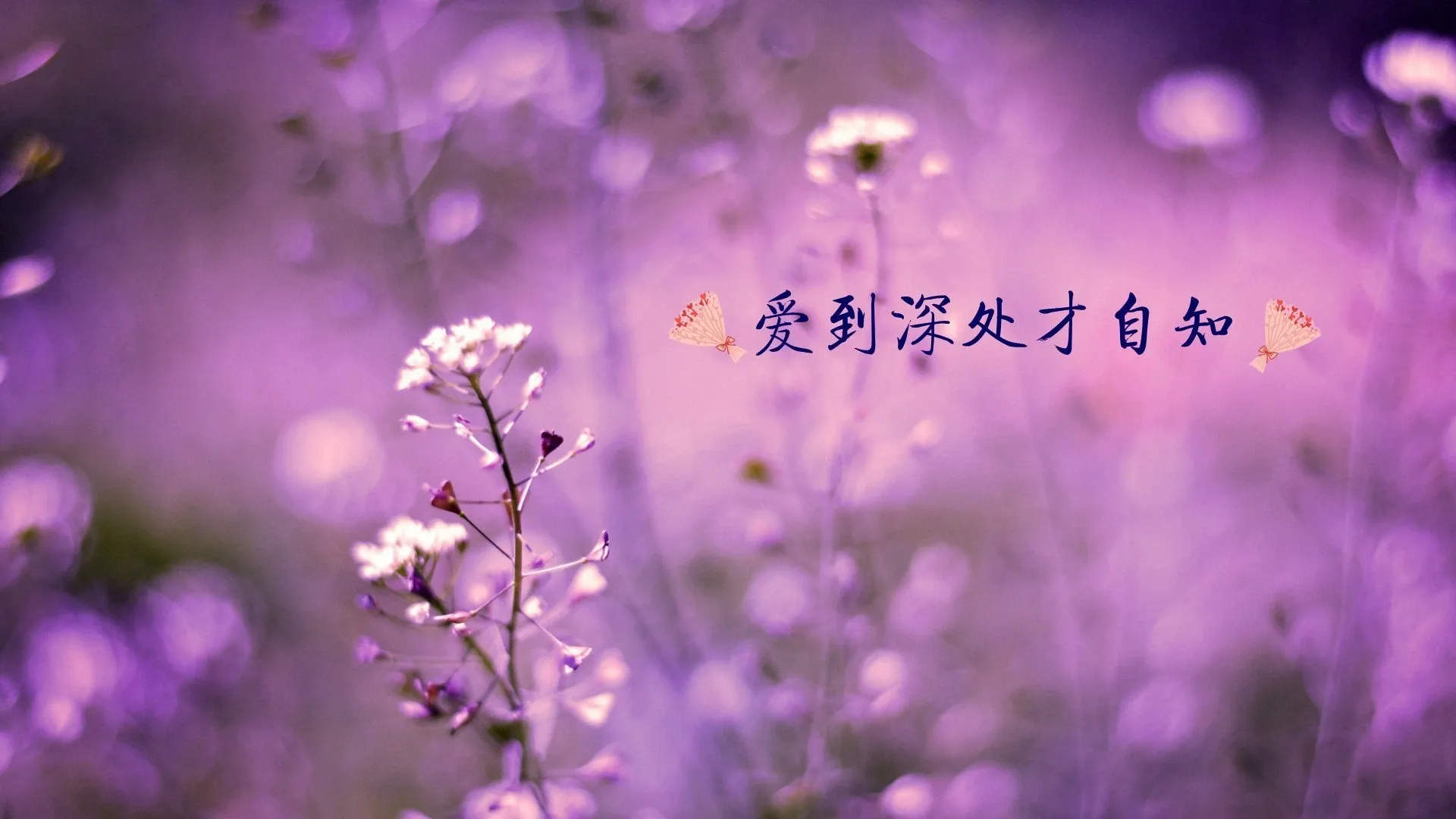 4K爱情浪漫壁纸 情侣亲吻唯美瞬间