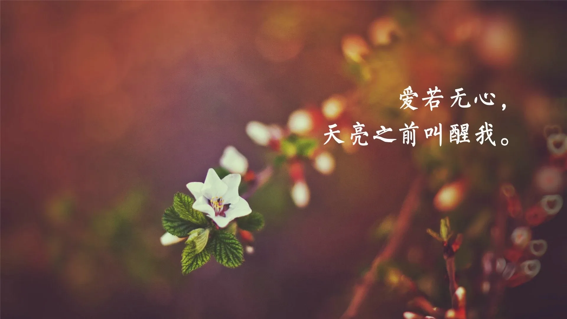 4K爱情浪漫壁纸 牵手倒影温馨甜蜜