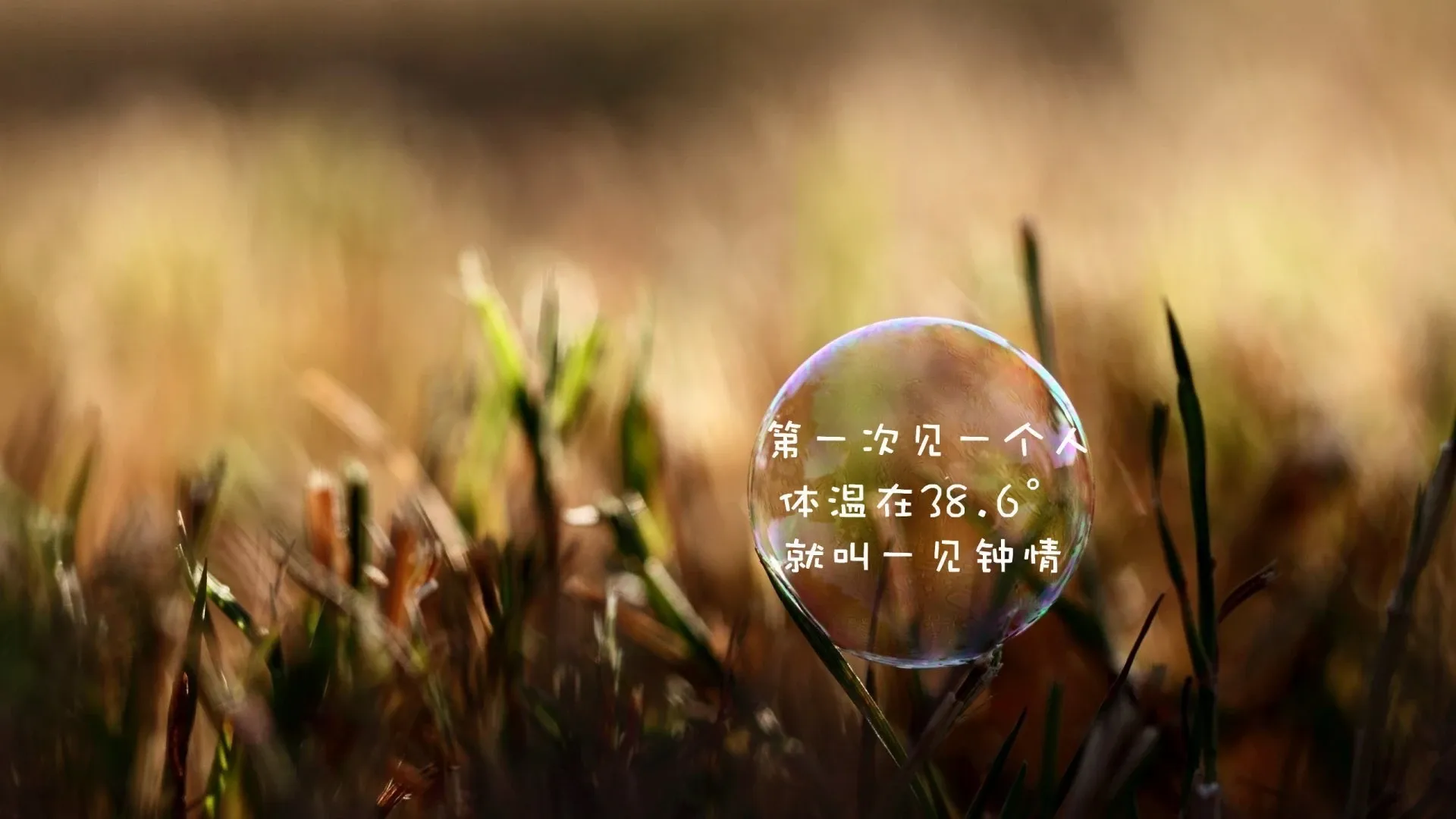 4K爱情浪漫壁纸 情侣亲吻唯美瞬间