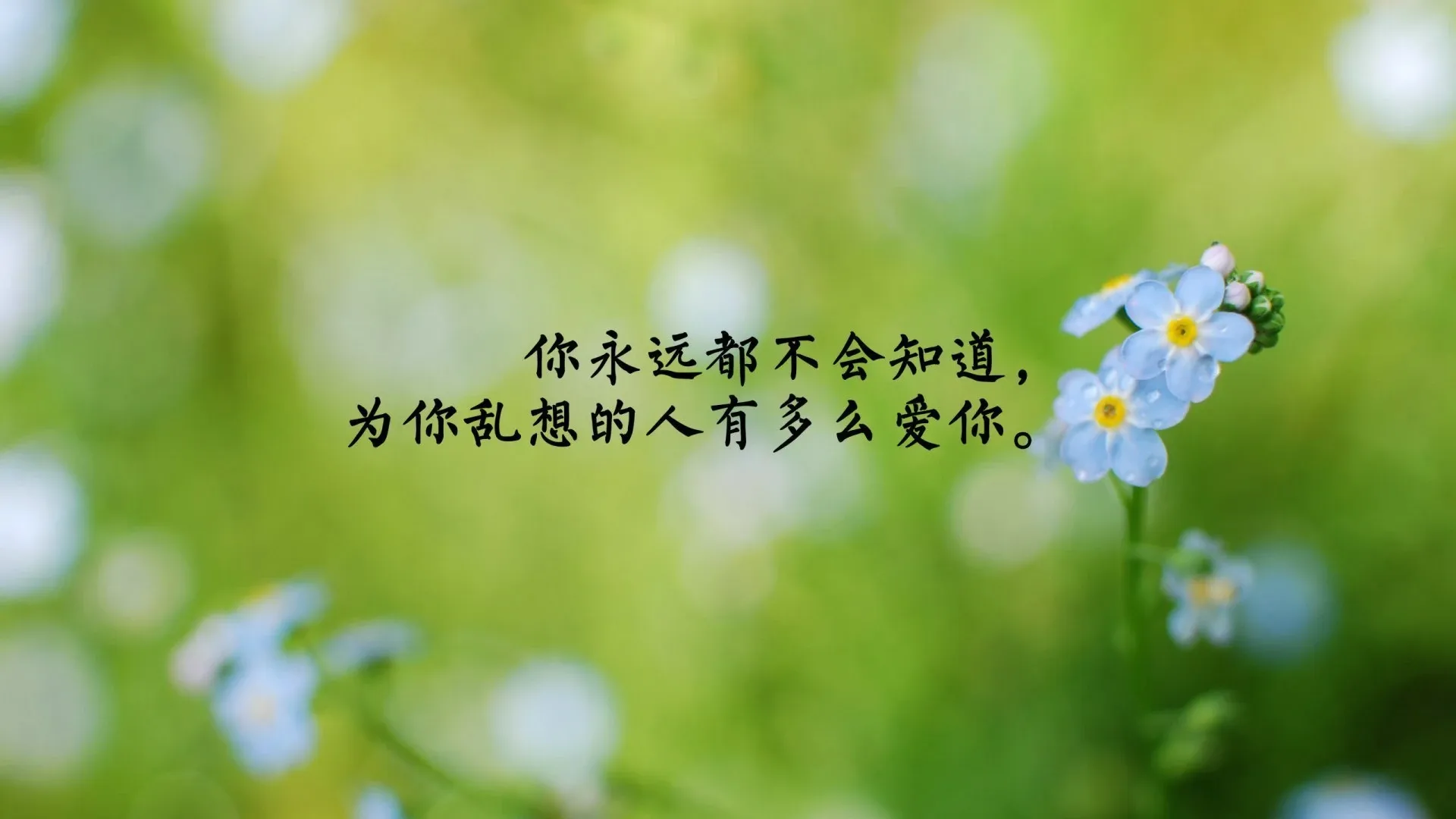 4K爱情浪漫壁纸 情侣依偎星空下
