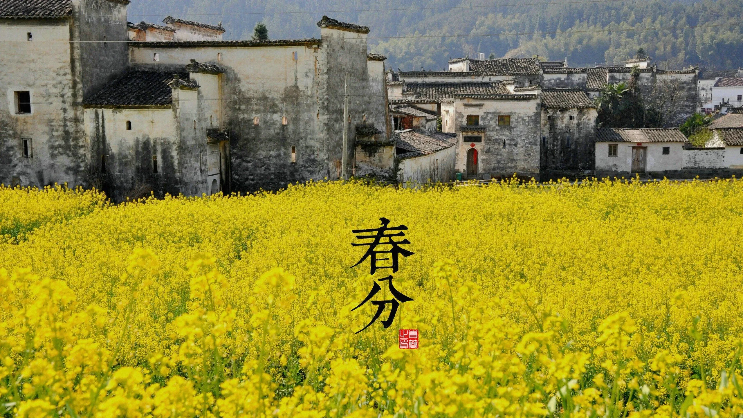 4K节日氛围壁纸 节日餐桌丰盛美食