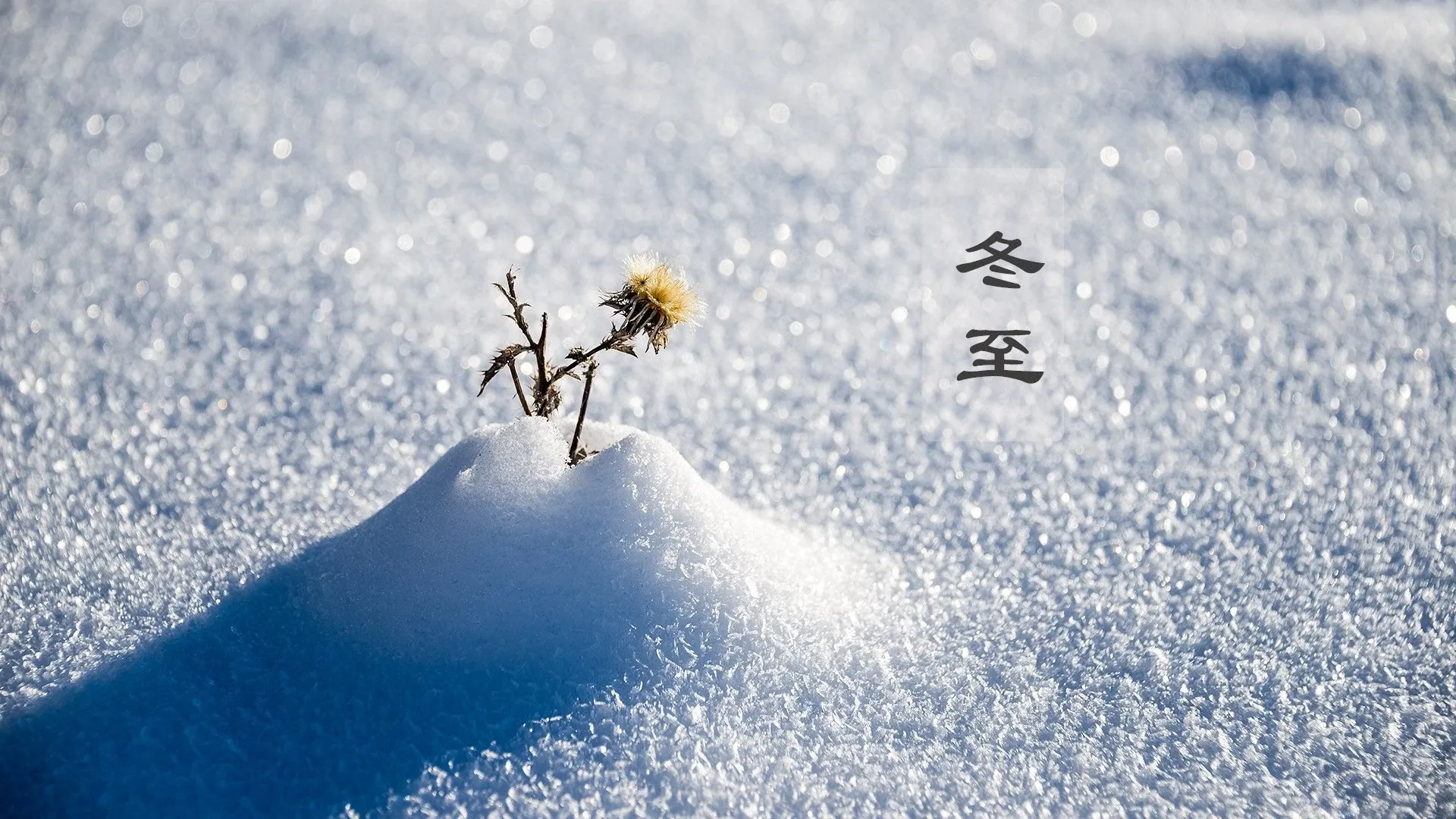 4K节日氛围壁纸 人群欢庆热闹场景