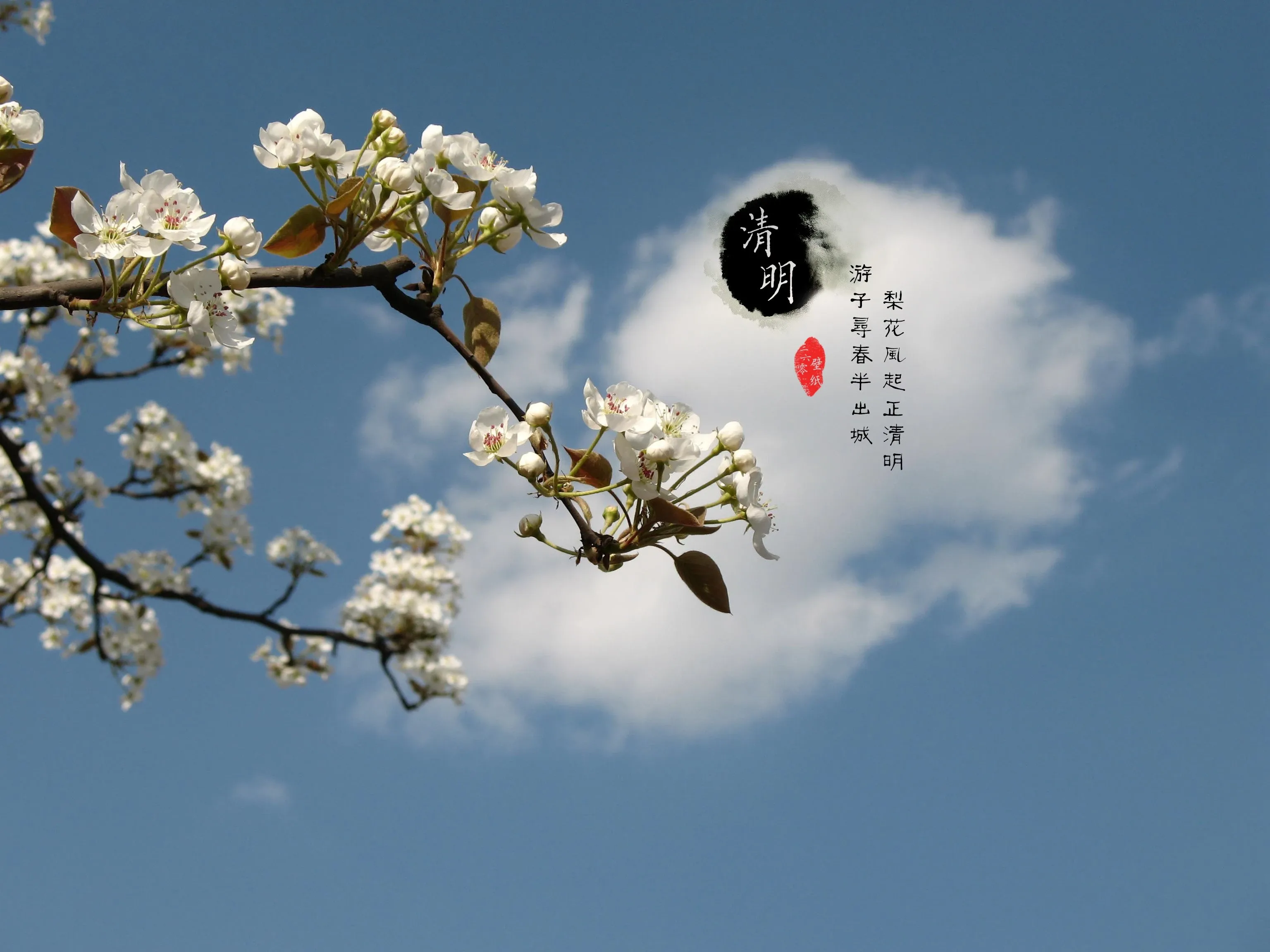 4K节日氛围壁纸 人群欢庆热闹场景