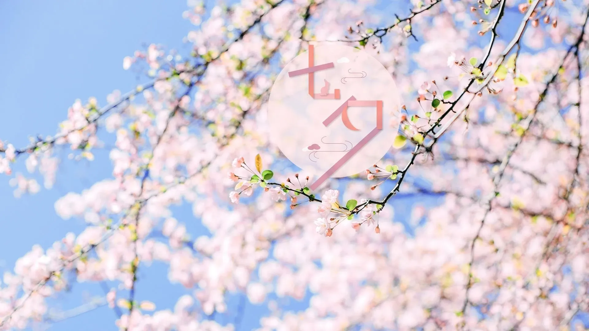 4K节日氛围壁纸 烟花绽放绚烂夜空