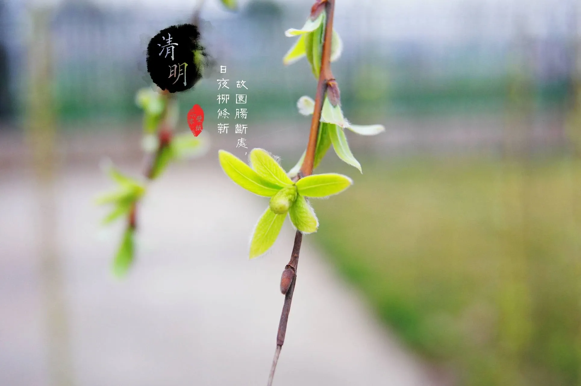 4K节日氛围壁纸 彩灯装饰温馨喜庆