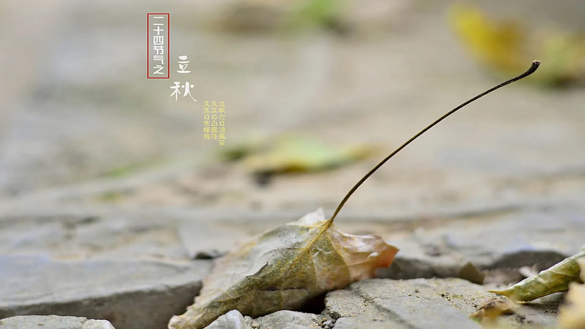 4K节日氛围壁纸 礼物堆积欢乐氛围