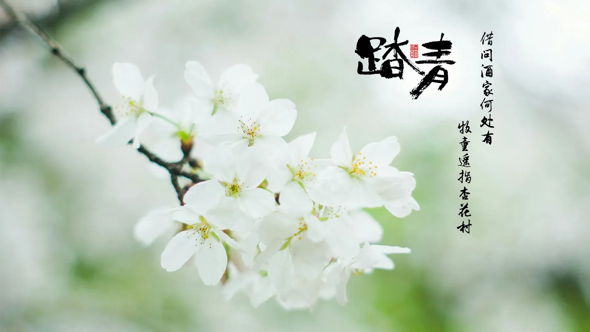 4K节日氛围壁纸 灯笼挂饰传统韵味