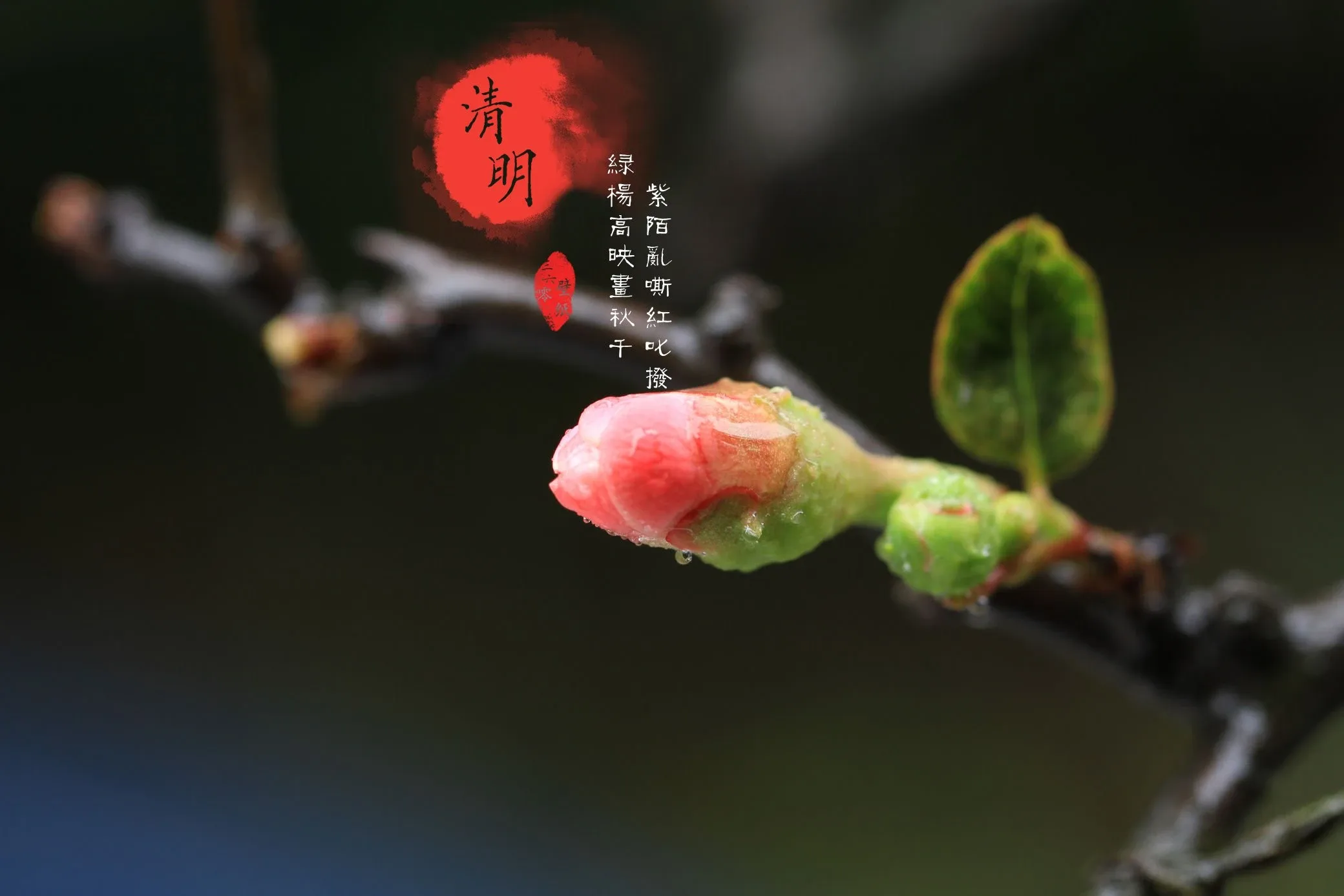 4K节日氛围壁纸 烟花绽放绚烂夜空