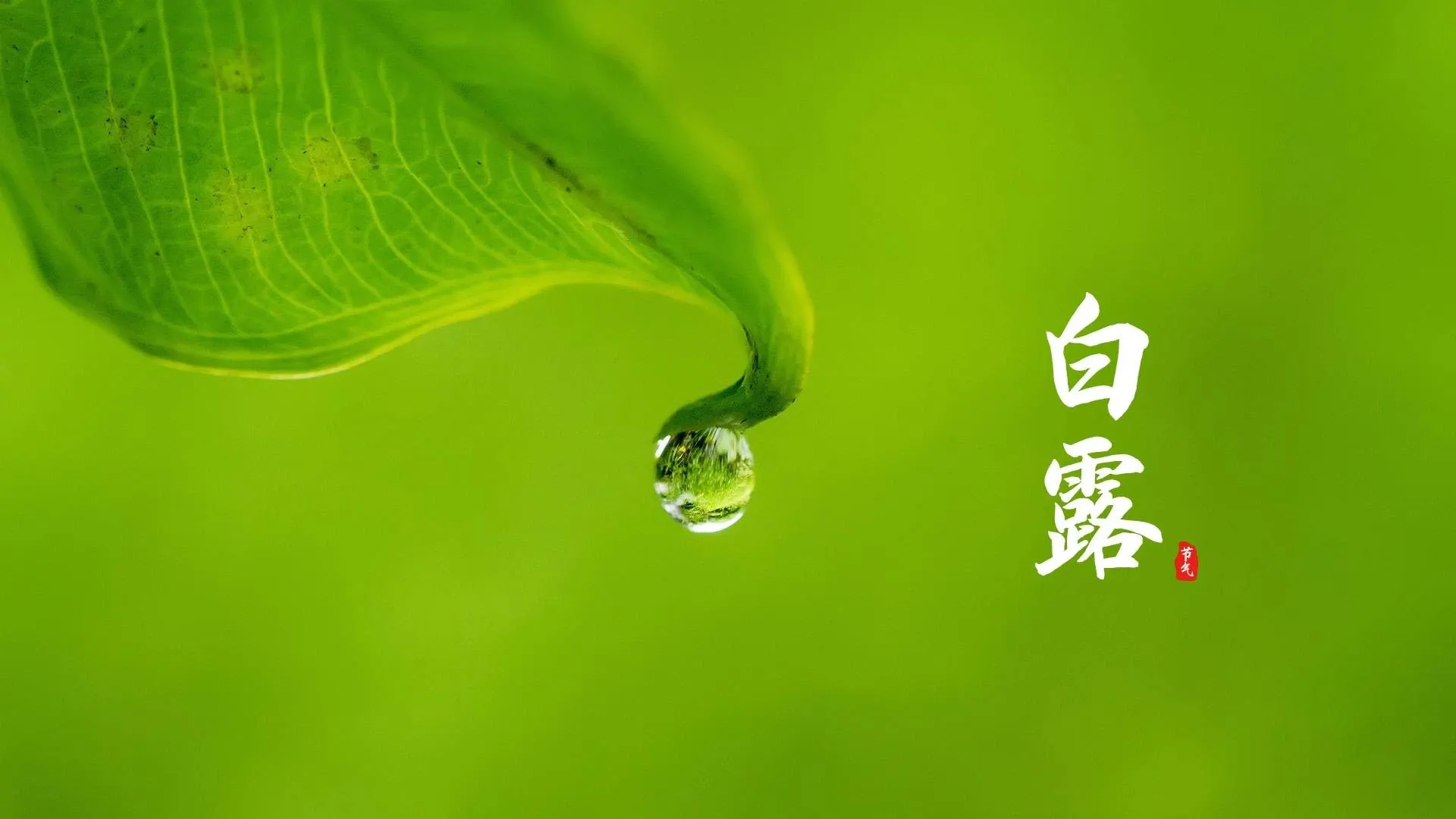 4K节日氛围壁纸 人群欢庆热闹场景