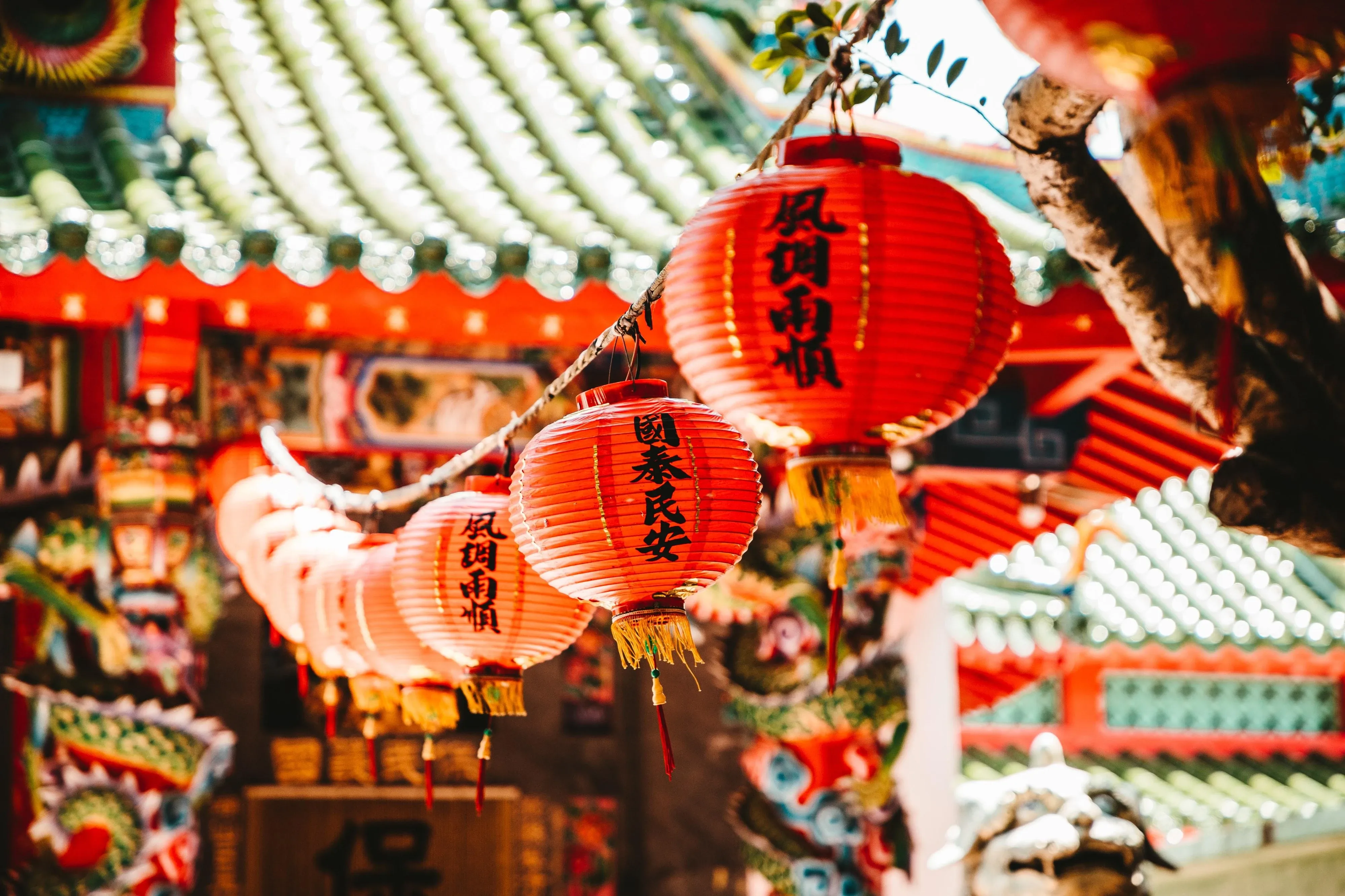4K唯美风景壁纸 花海绚烂色彩明快