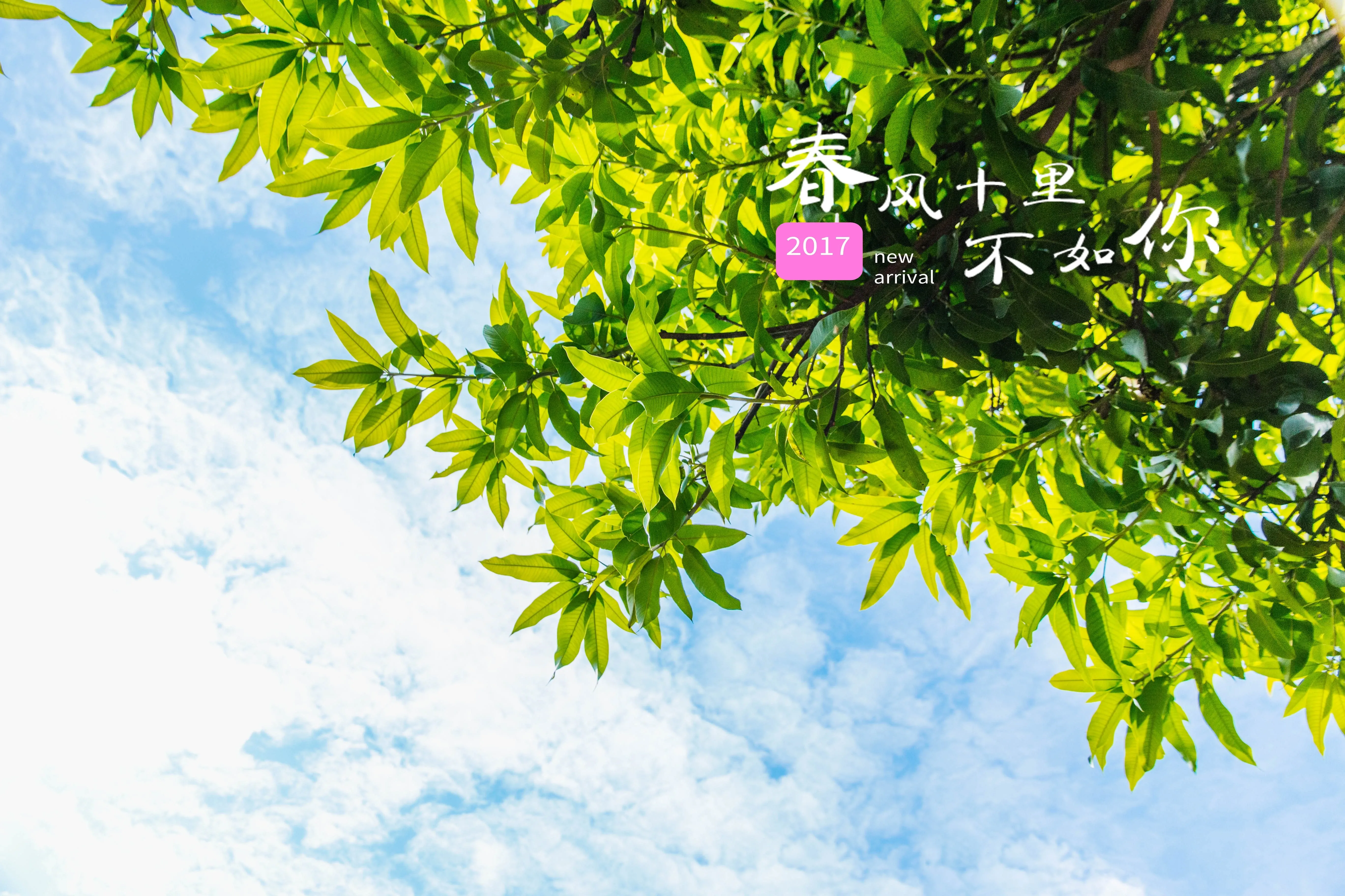 4K文字创意壁纸 治愈语录简约风格