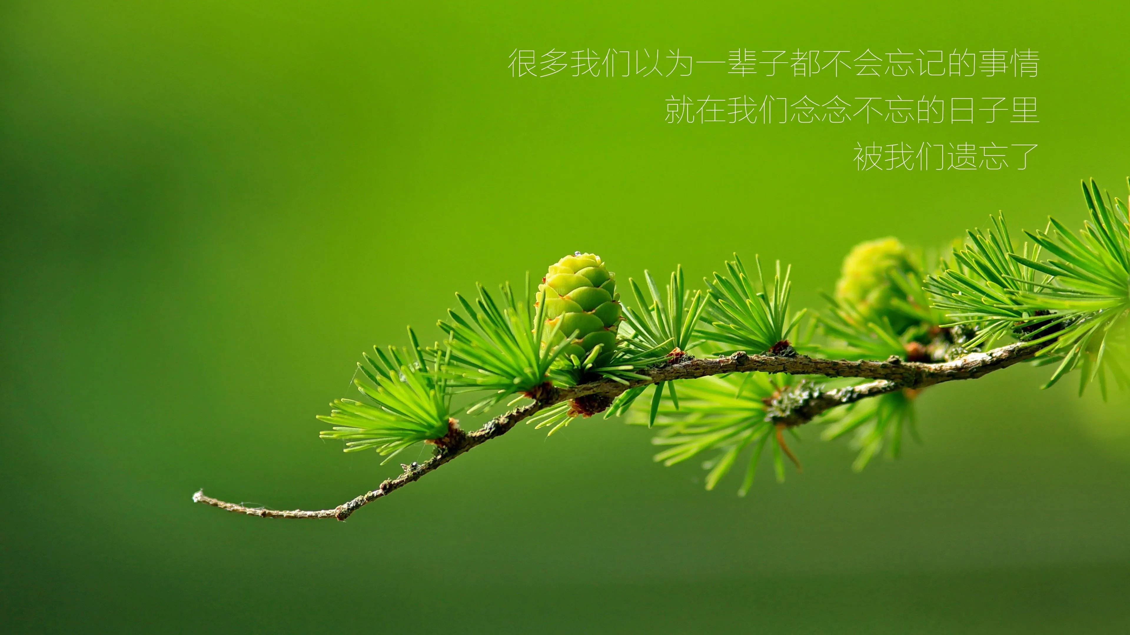 4K文字创意壁纸 英文短句时尚个性