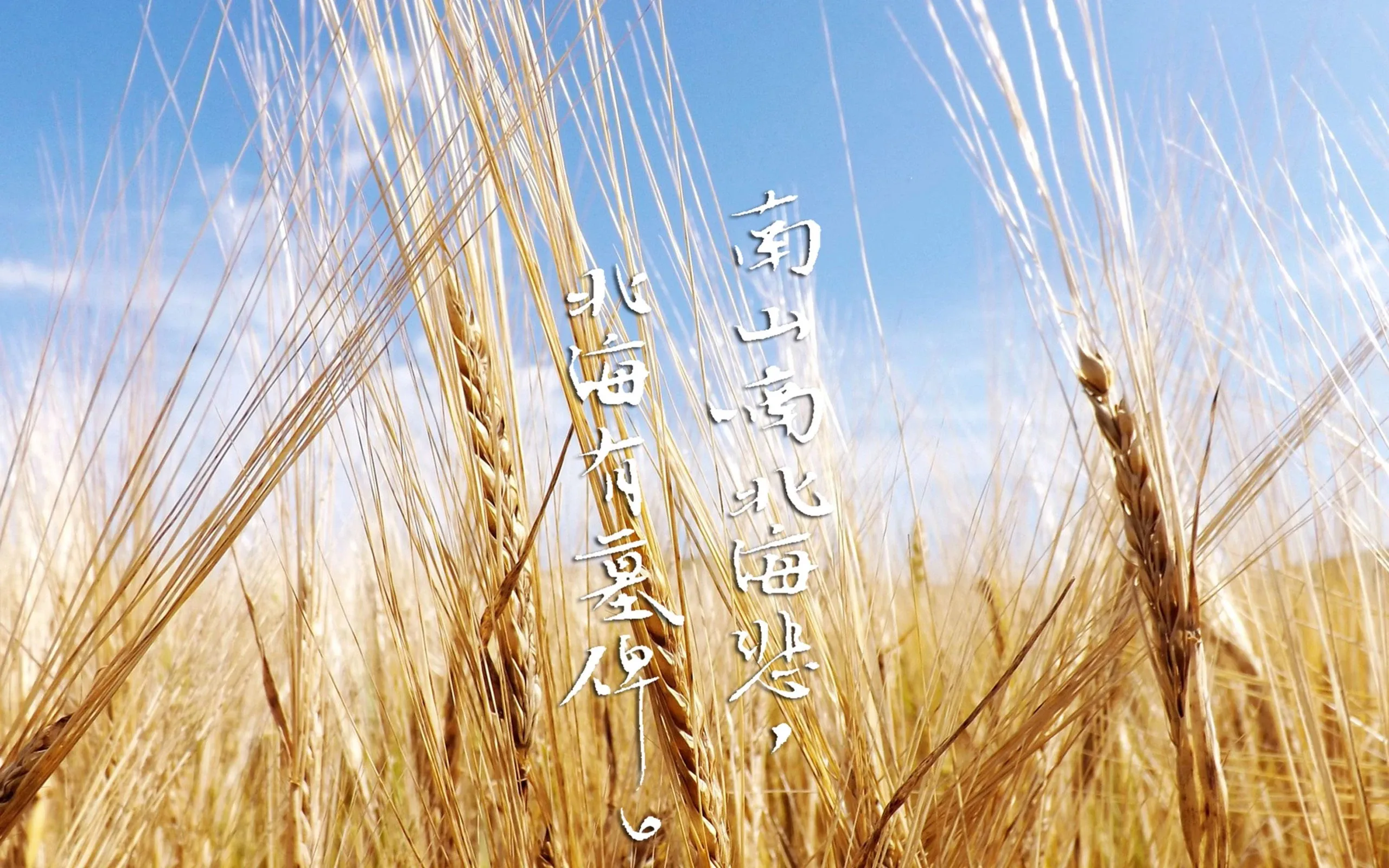 4K文字创意壁纸 符号文字创意设计