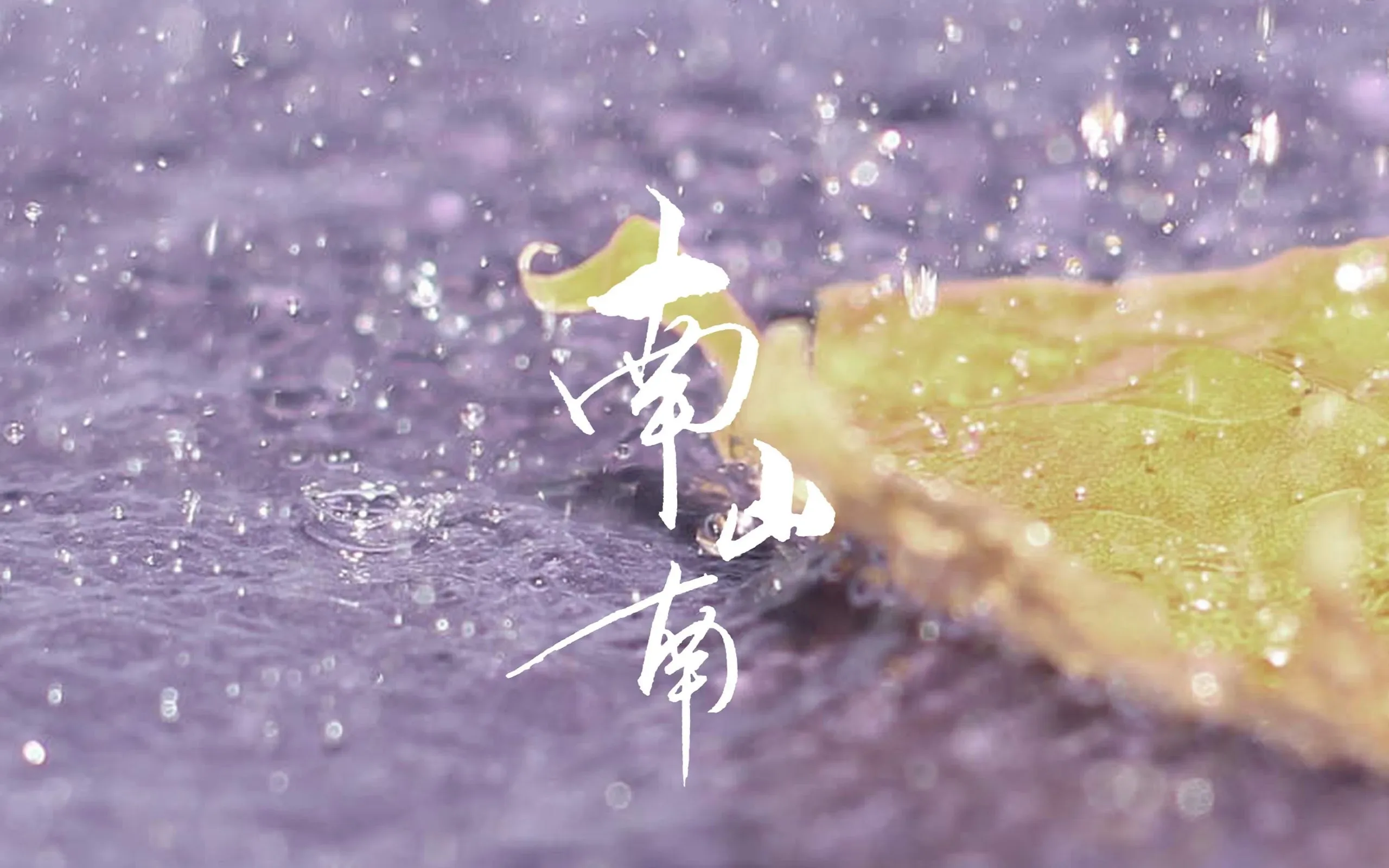 4K文字创意壁纸 英文短句时尚个性
