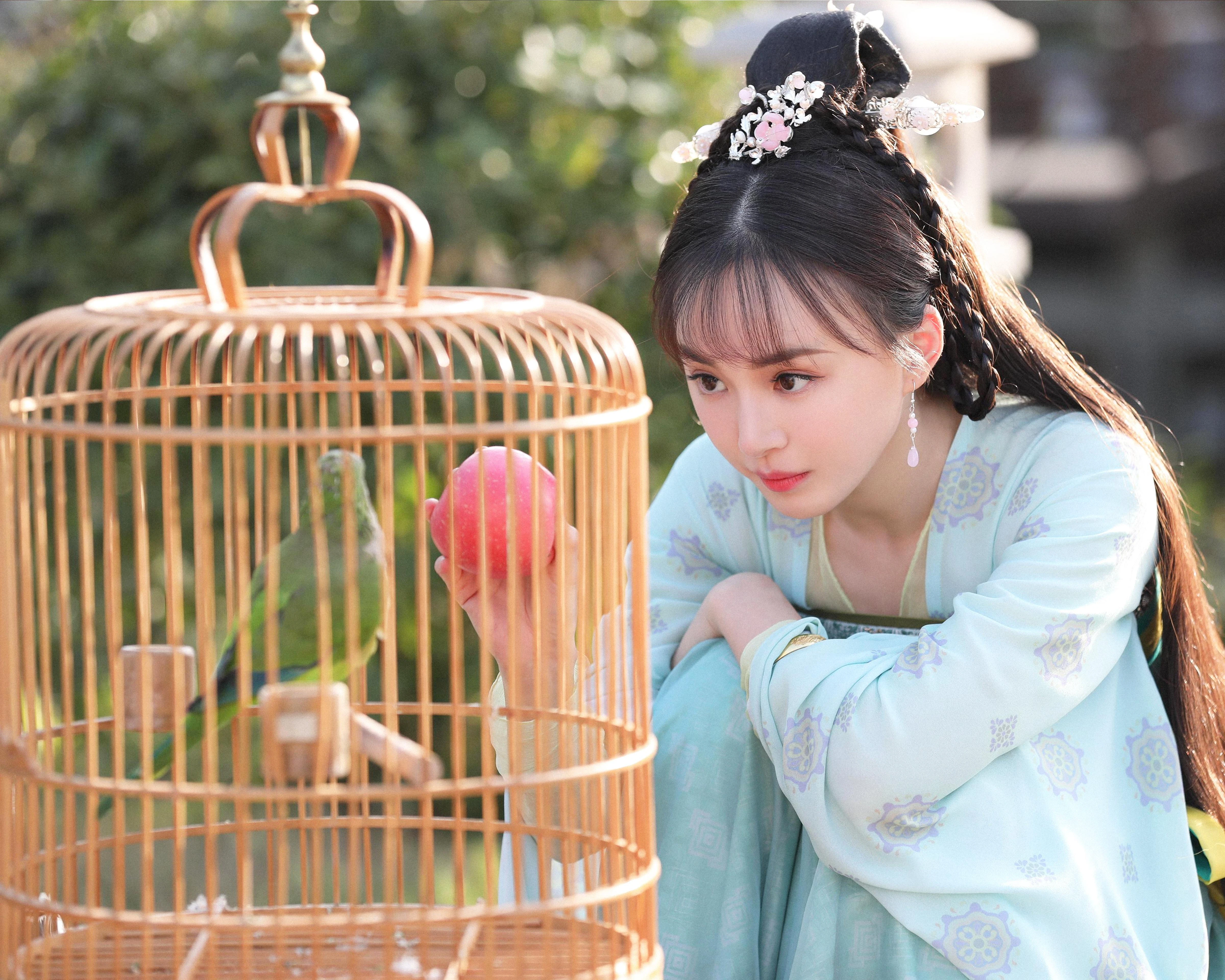 星光熠熠的 国内女明星 明星写真 4K超清画质 女明星壁纸