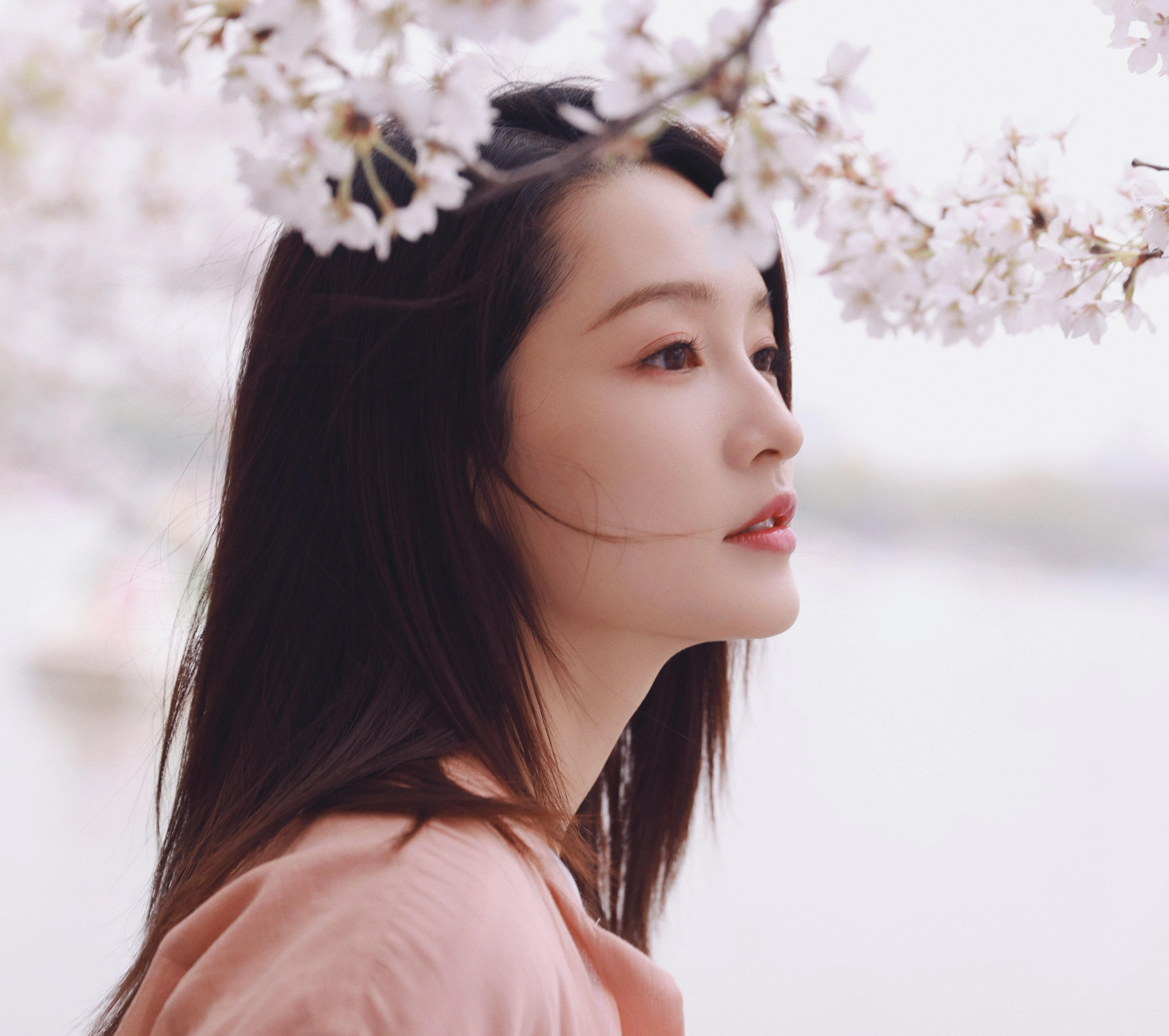 气质非凡的 国产女明星 明星摄影 超清晰4K 桌面锁屏