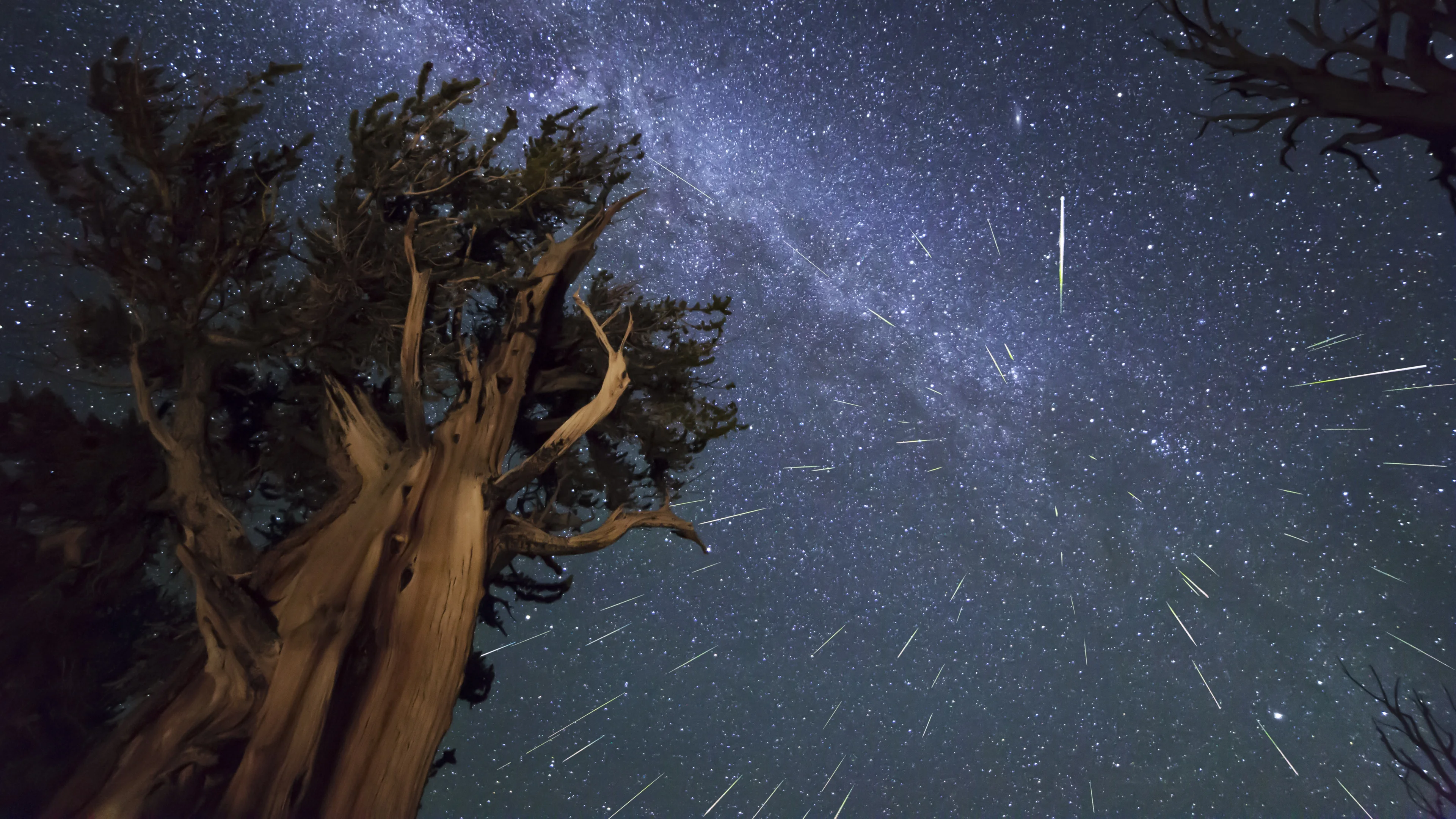 星空星轨旋转 超高清4K夜景壁纸