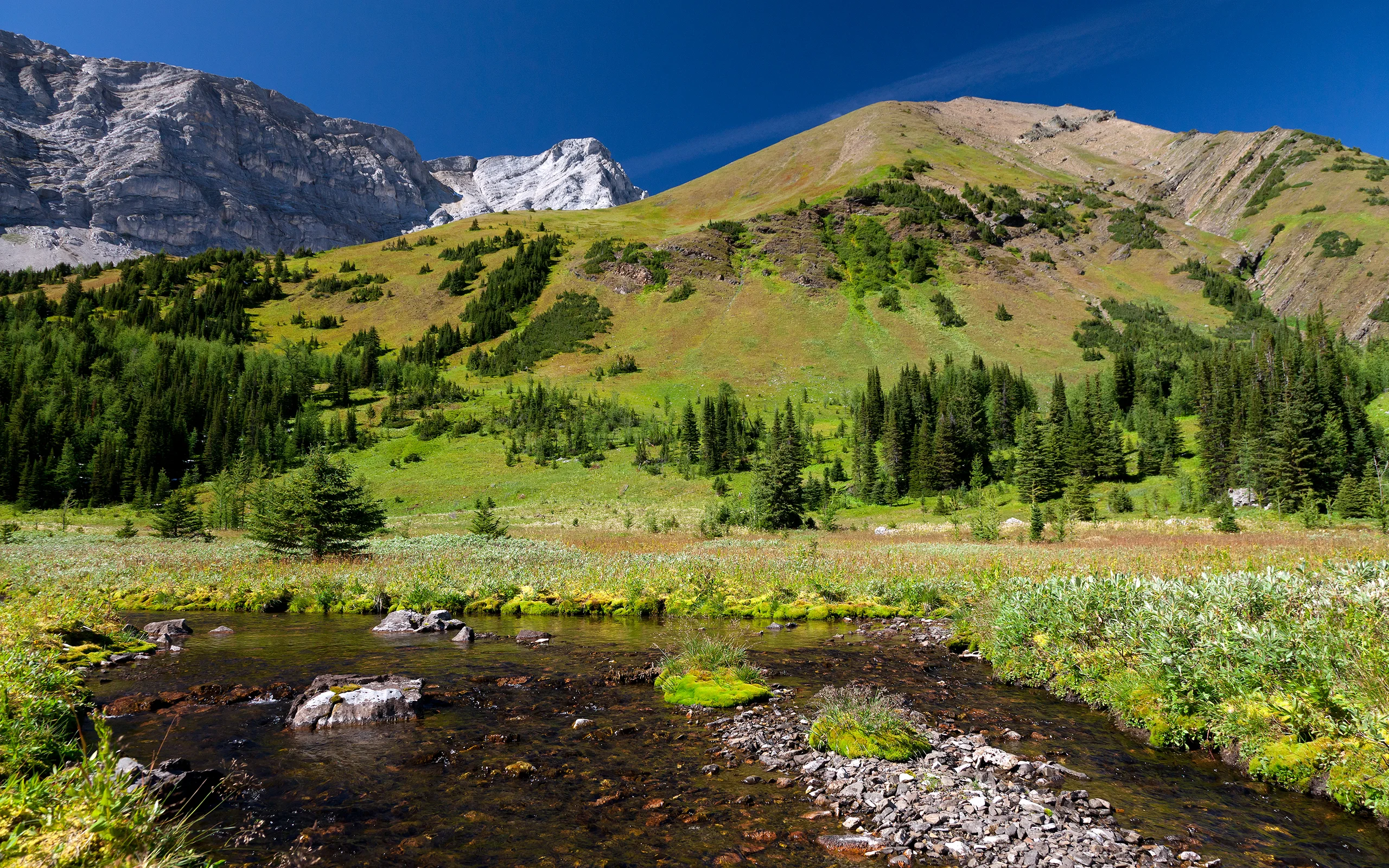 意境优美的 自然风景 自然摄影 4K超清图 4K风景壁纸