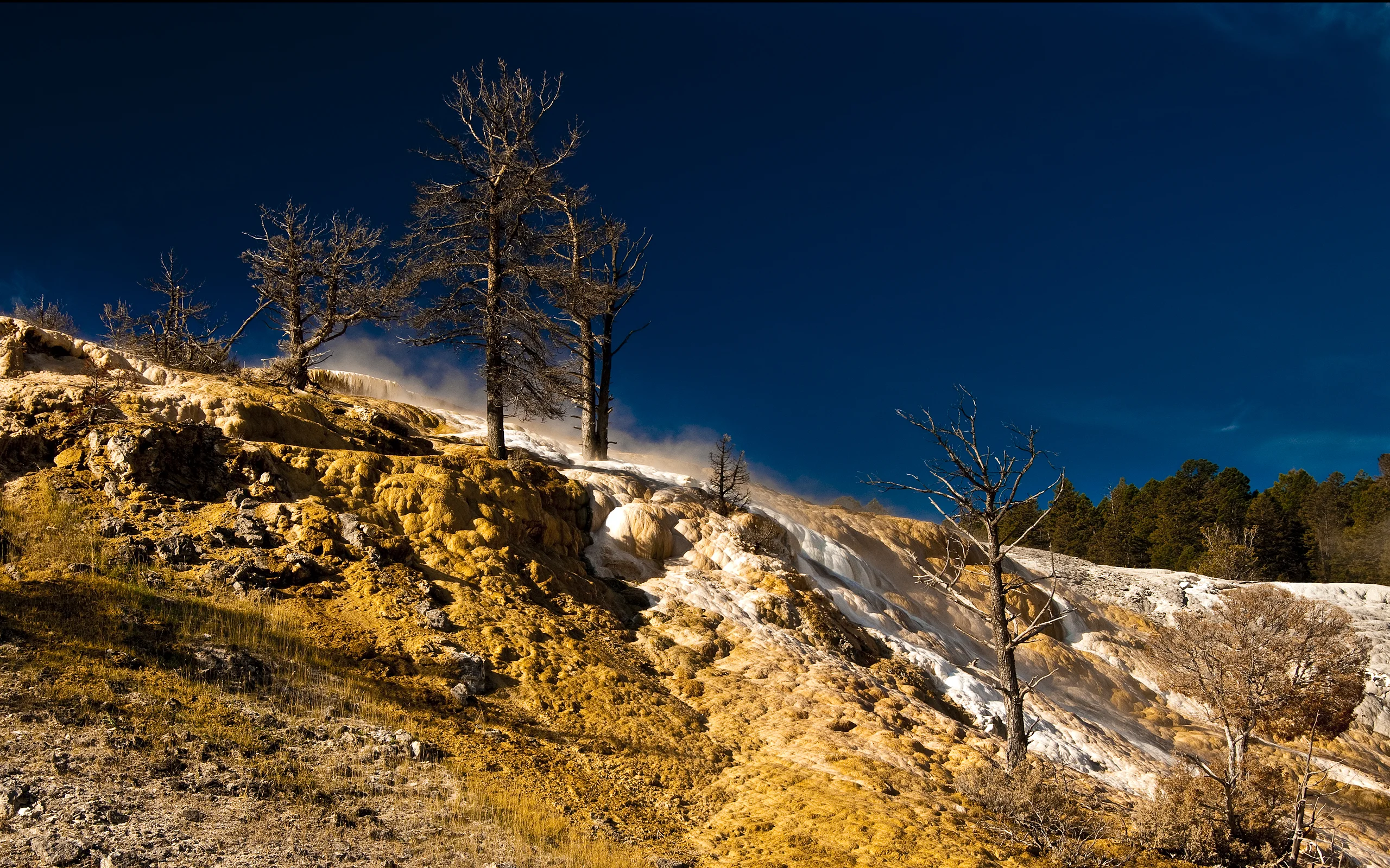 意境优美的 自然风景 自然摄影 4K超清图 4K风景壁纸