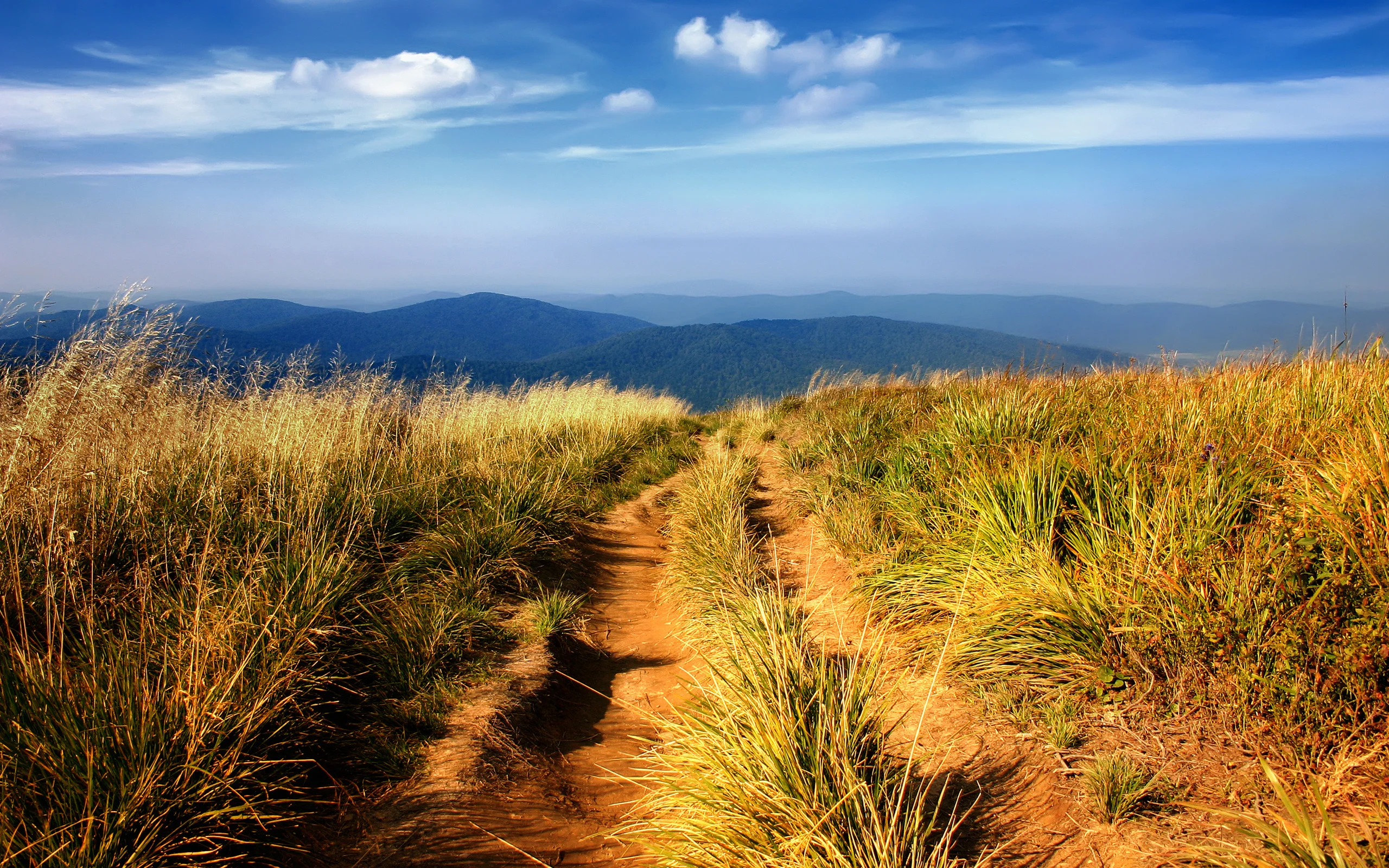 意境优美的 自然风景 自然摄影 4K超清图 4K风景壁纸
