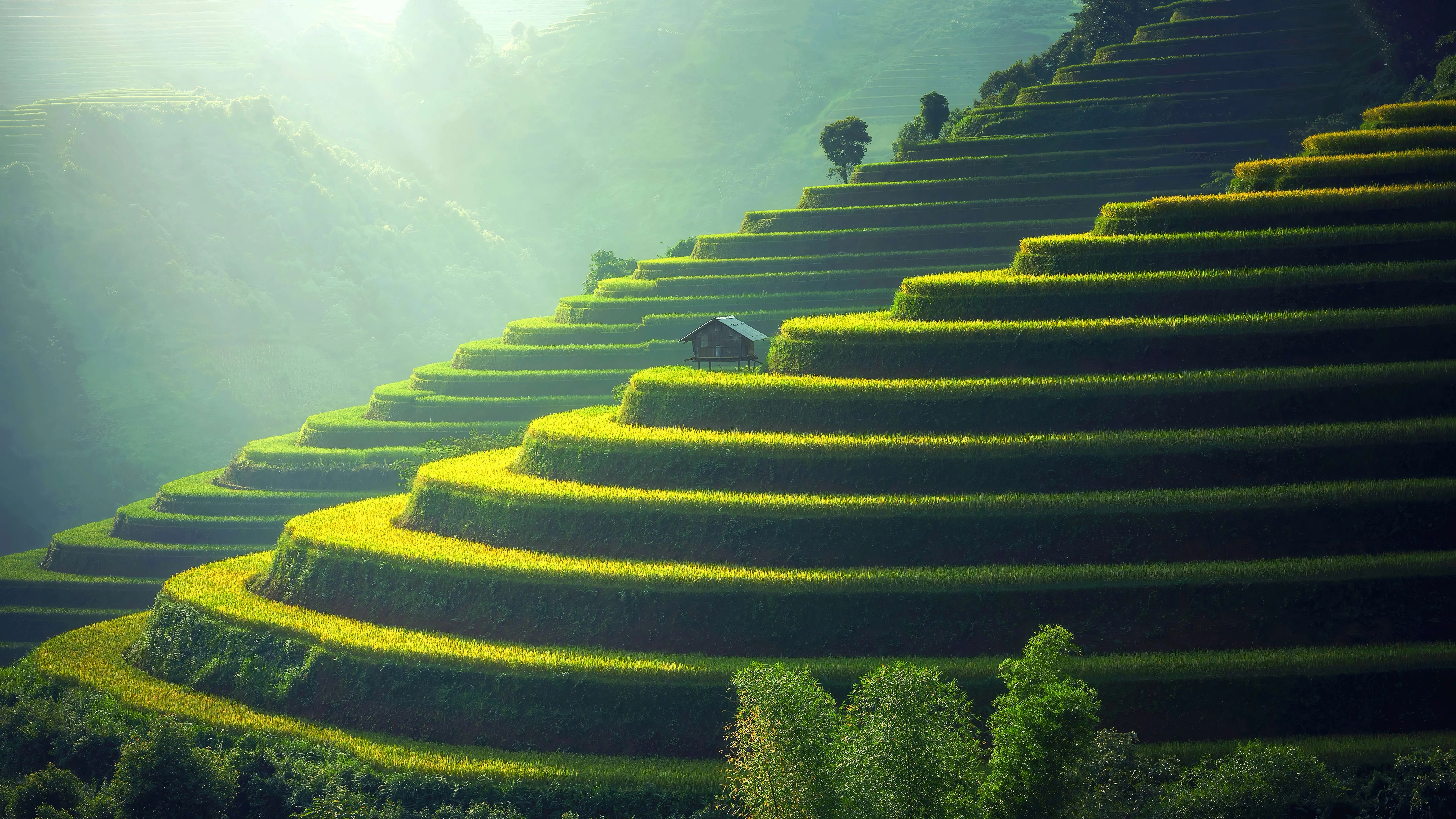 治愈系风景美图 自然景观 4k超清平板桌面壁纸素材