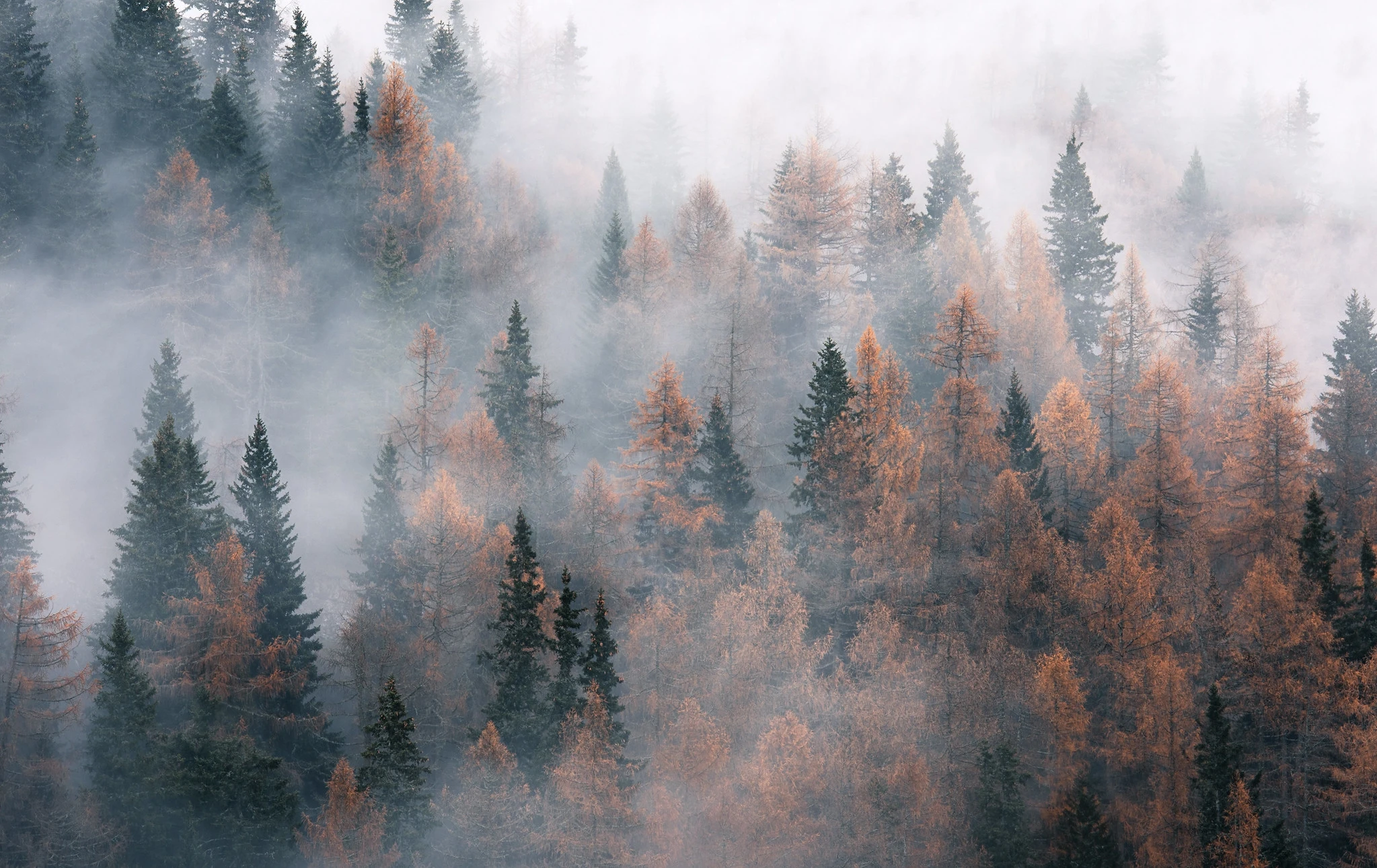 治愈系风景美图 自然景观 高清素材