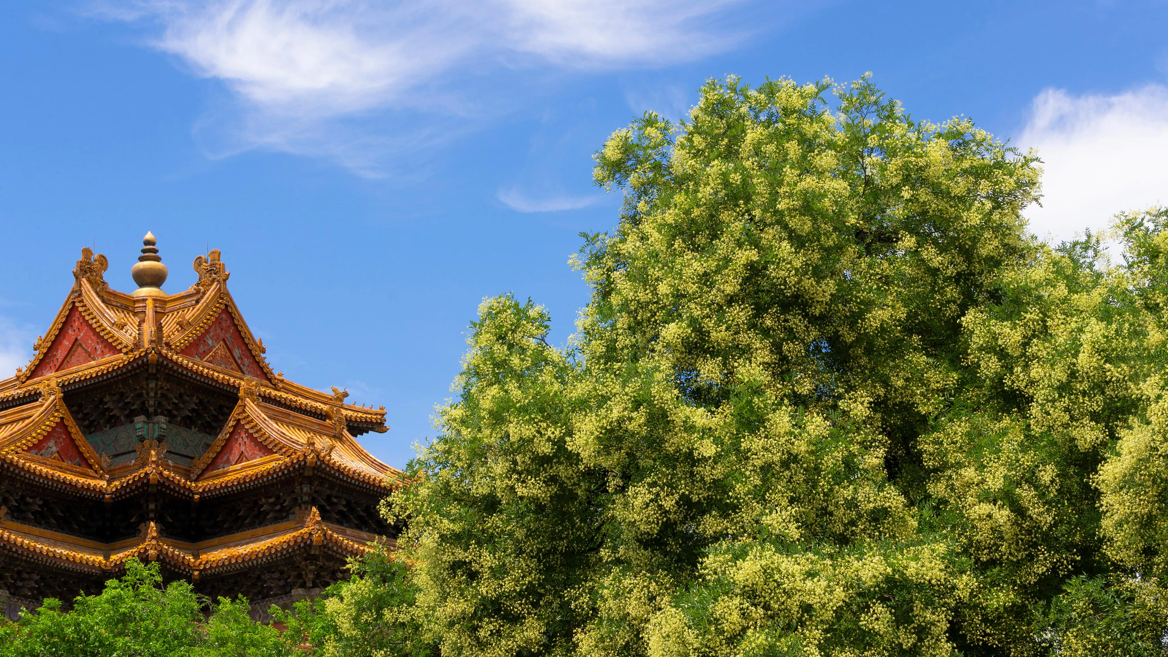 宏伟故宫美景 故宫图库 高清素材 4K风景壁纸
