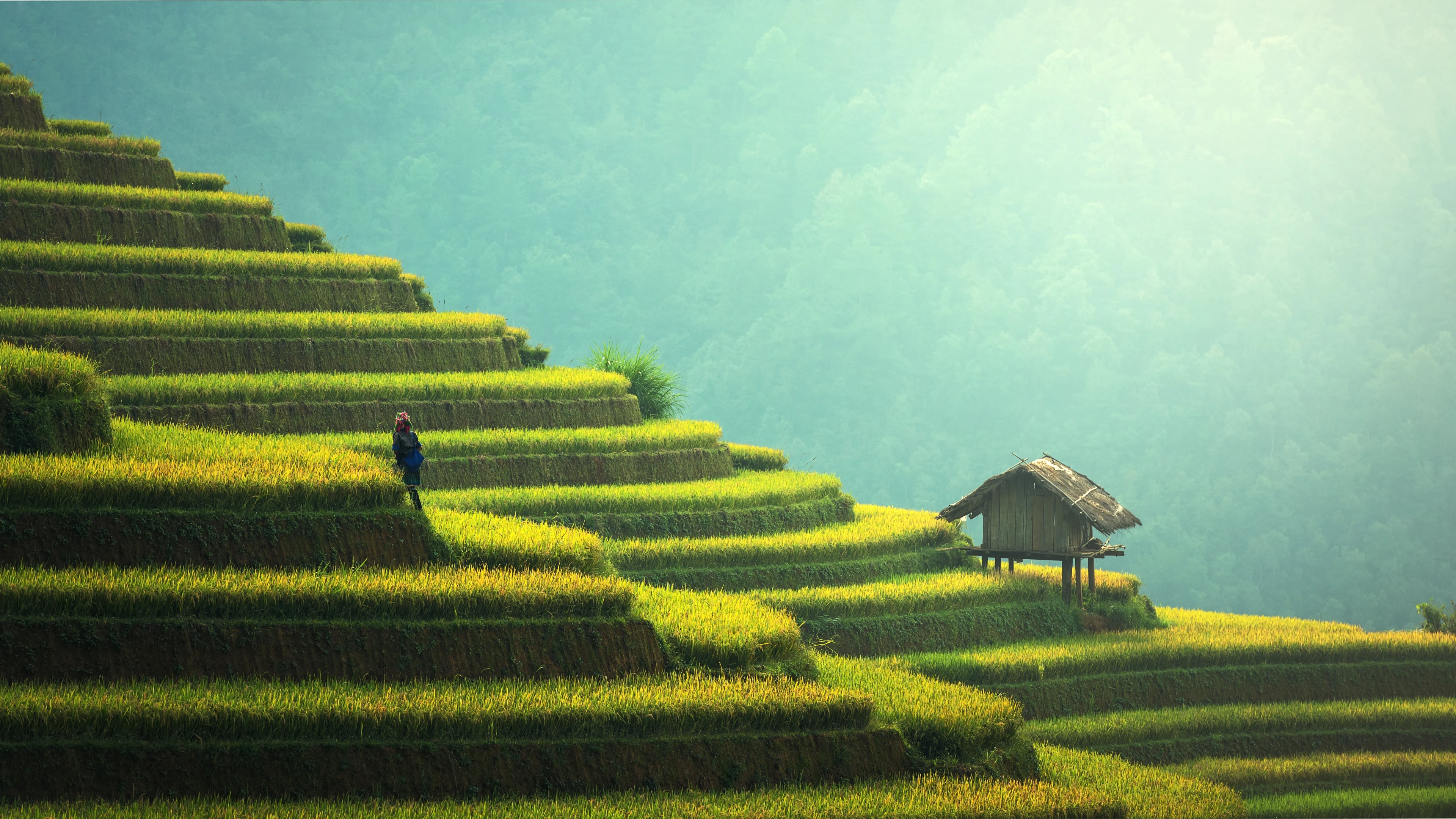 柔和舒适的 护眼自然风景 柔和摄影 4K超清图 4K风景壁纸