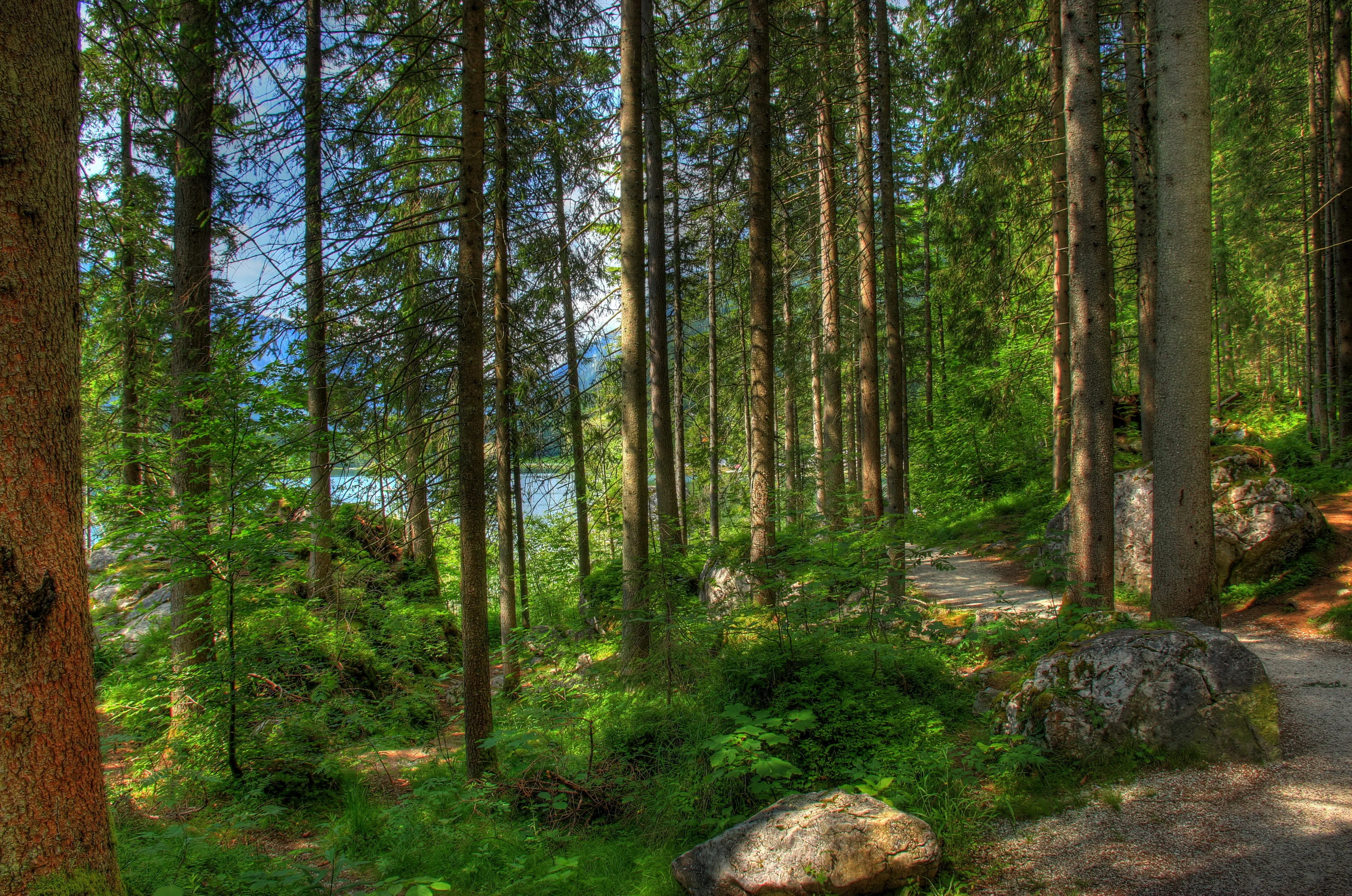 柔和舒适的 护眼自然风景 柔和摄影 4K超清图 4K风景壁纸