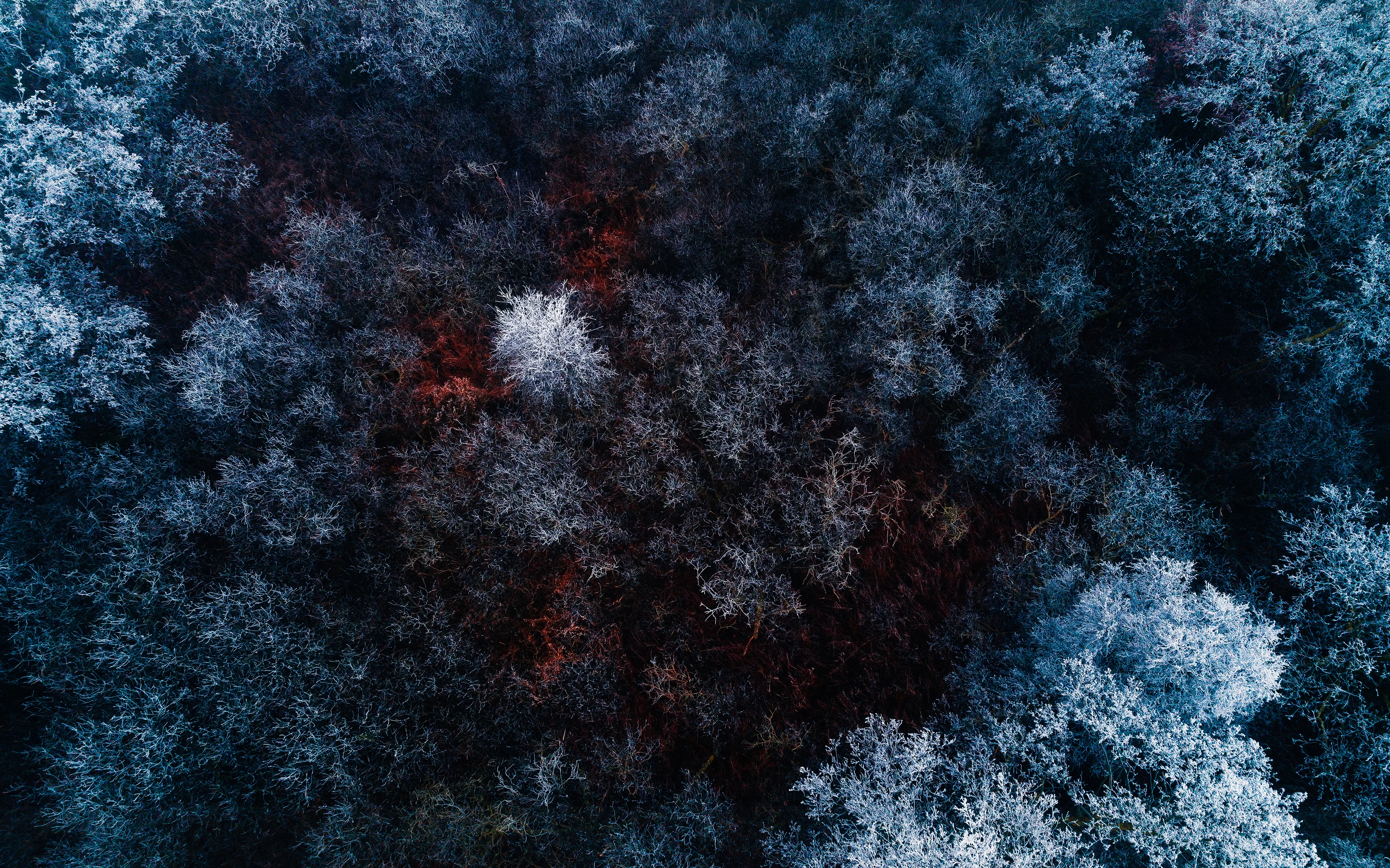 清新自然的 冷色系自然风景 自然摄影 4K超清图 4K风景壁纸