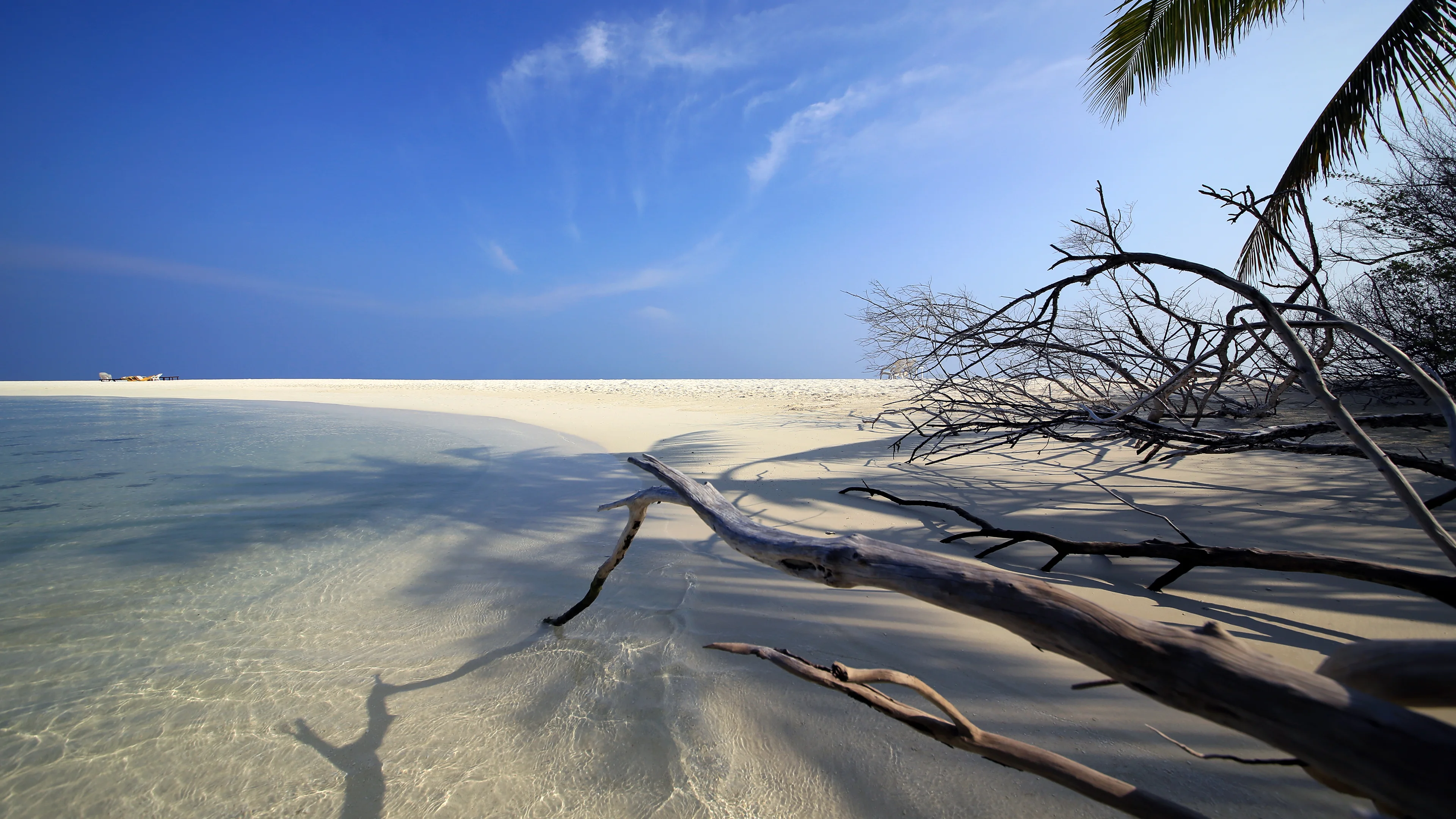 清新自然的 冷色系自然风景 自然摄影 4K超清图 4K风景壁纸