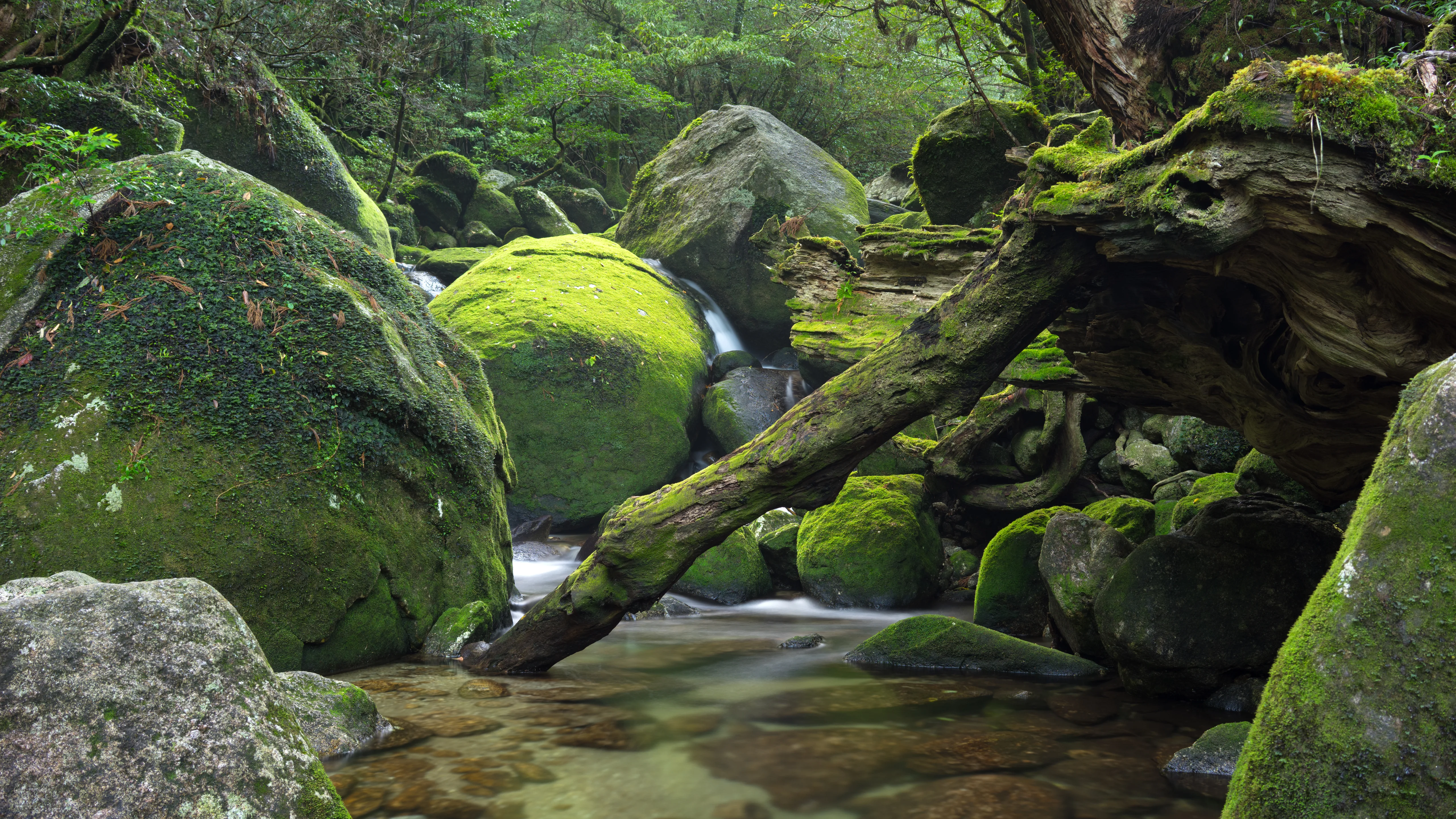 气势磅礴的 瀑布自然风景 水景摄影 4K超清图 4K风景壁纸