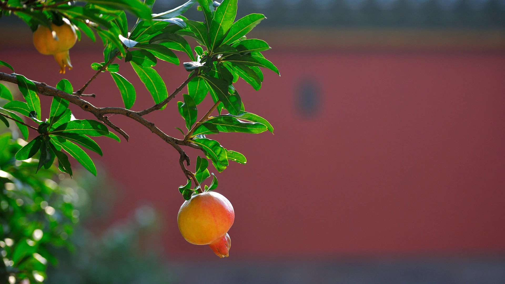 超清4K秋日风光 秋景图库 高清素材