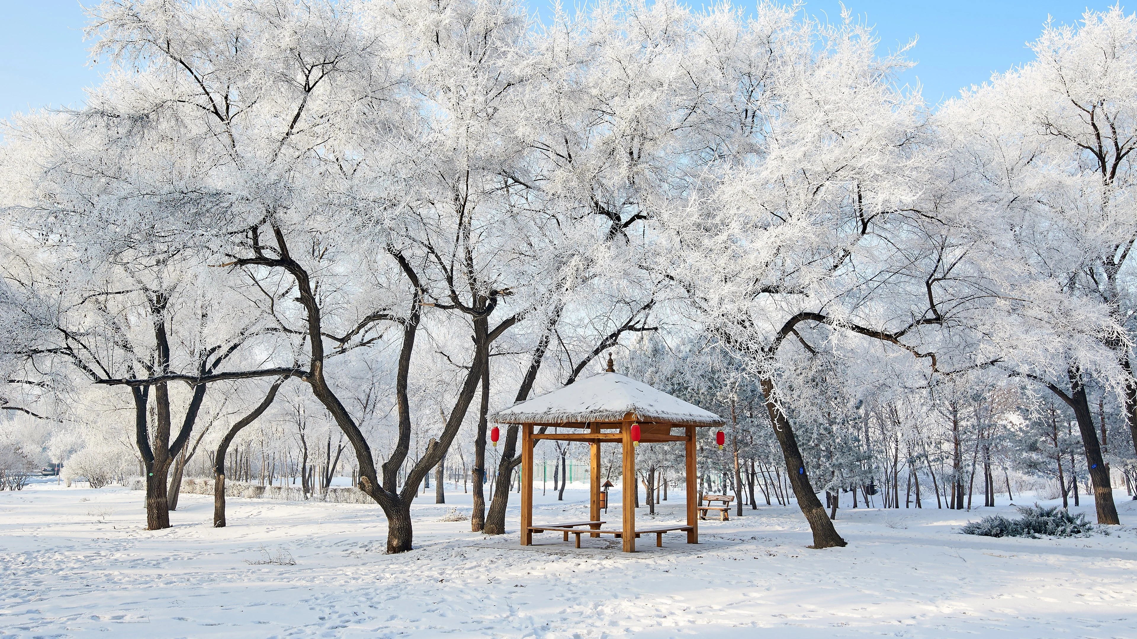 梦幻雪景风光 冰雪世界 高清素材 4K风景壁纸