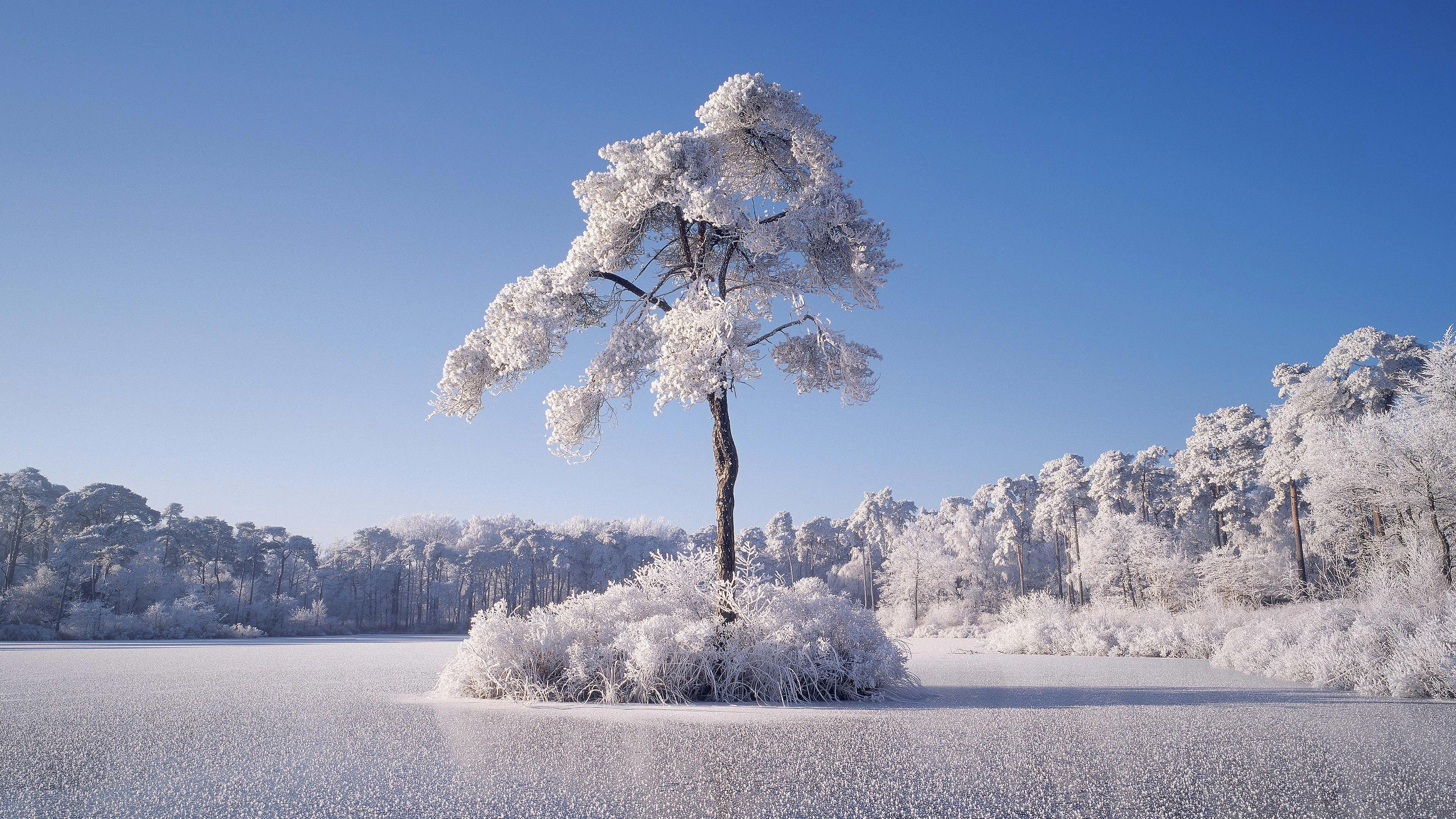 梦幻冰雪照片 冬日风光 高清素材 4K风景壁纸