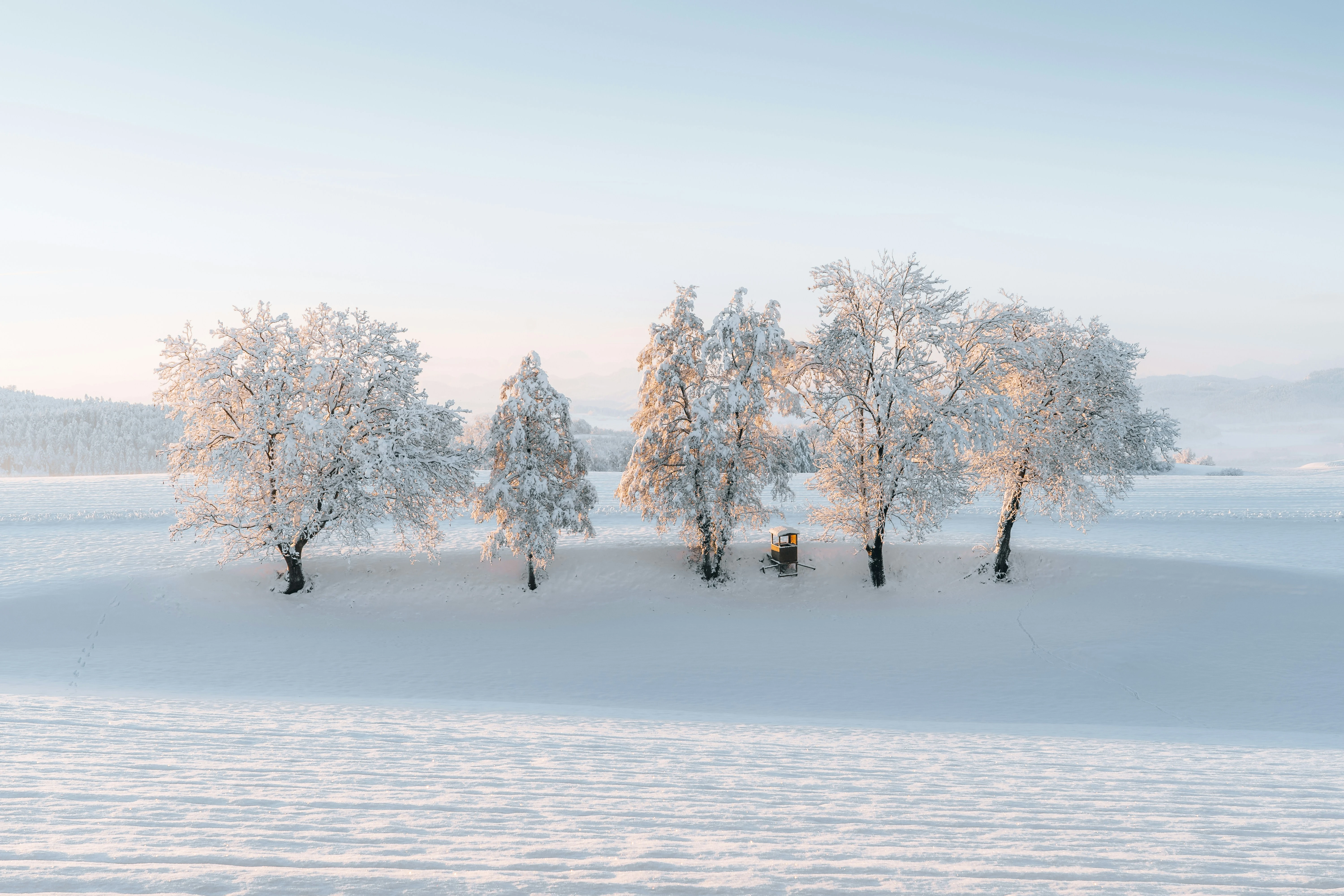 超清4K冬日雪景 冬日美景 高清素材 4K风景壁纸