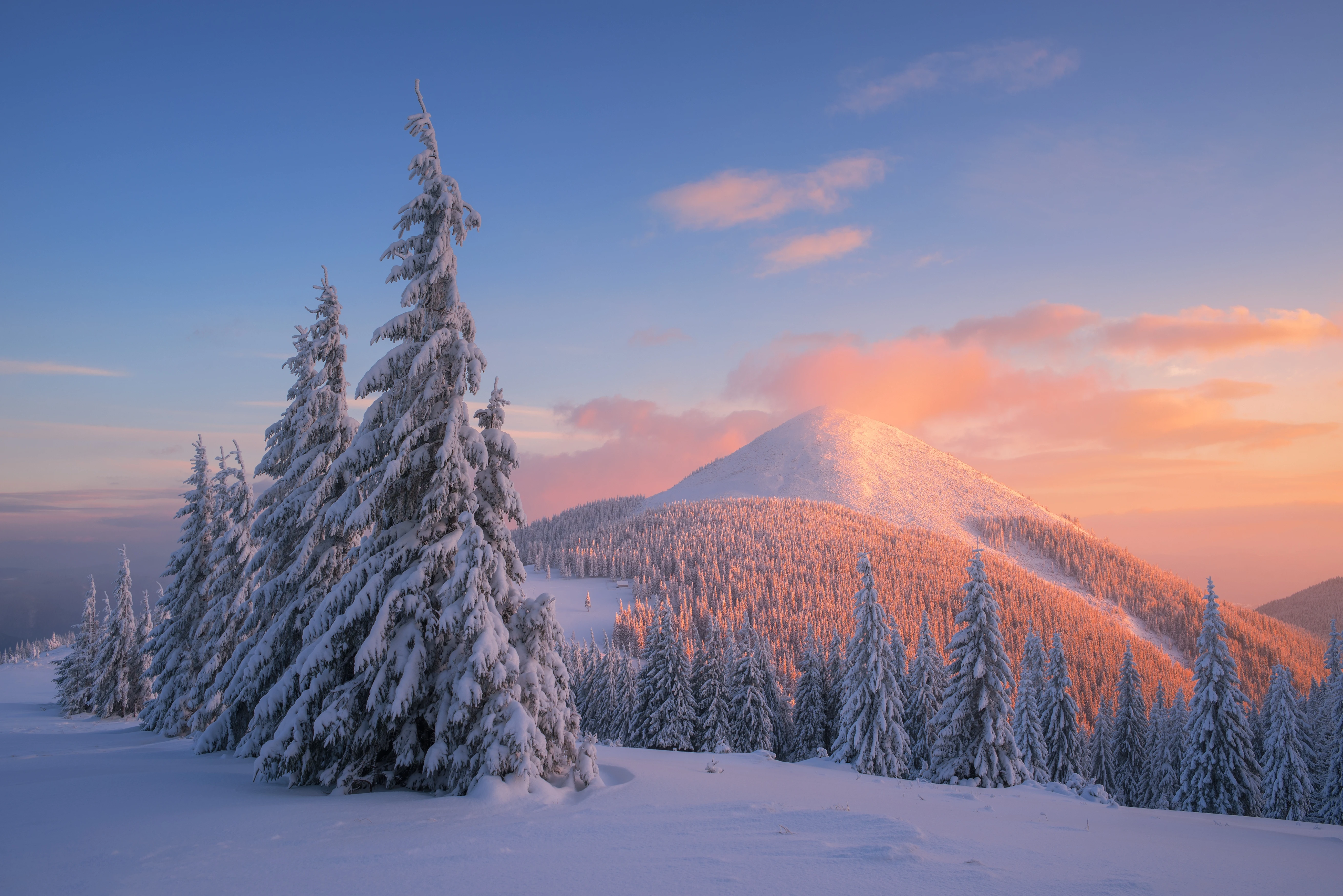 梦幻冬日雪景 冰雪世界 高清素材 4K风景壁纸