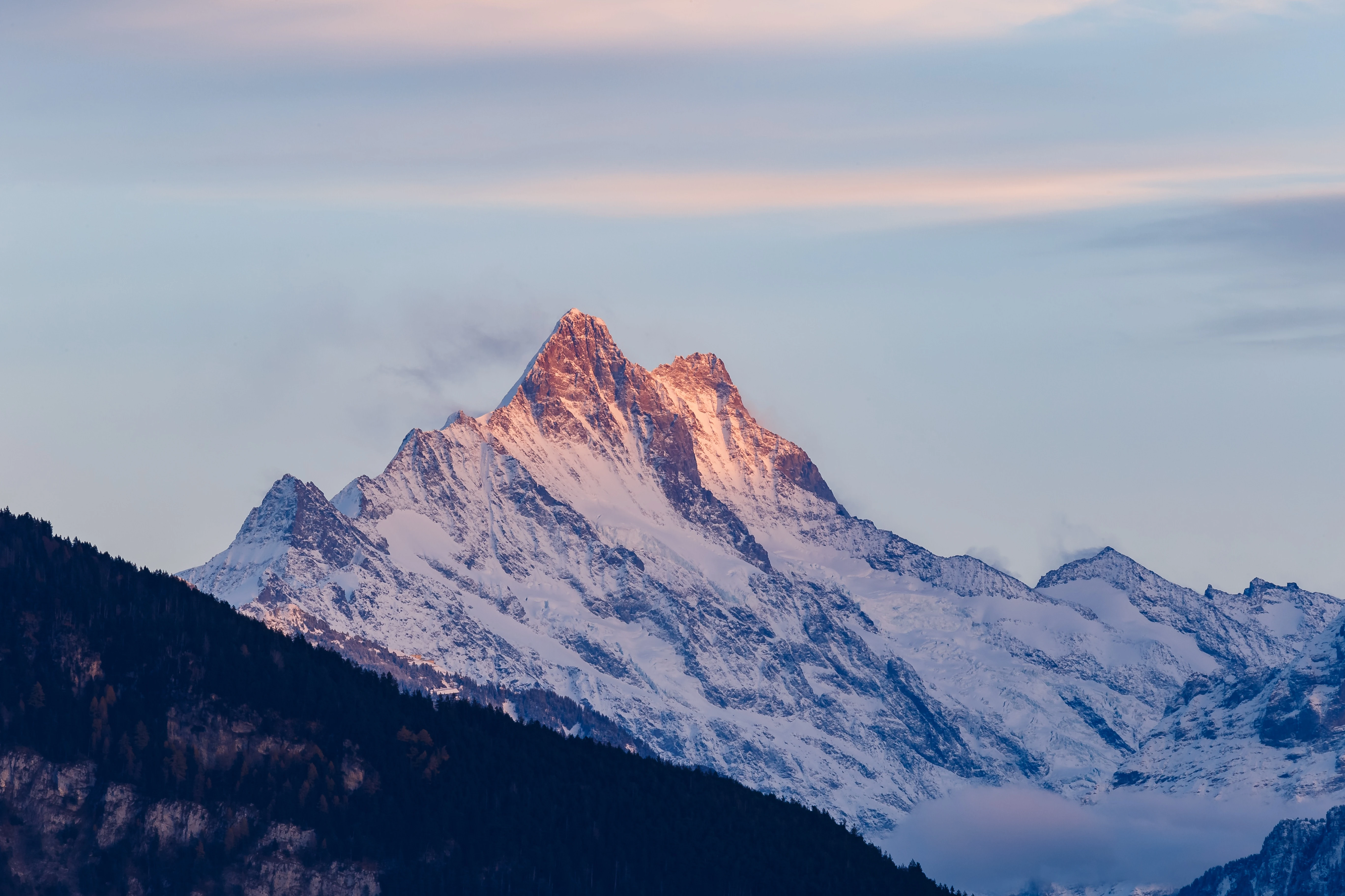 唯美冬日雪景 冬日美景 高清素材