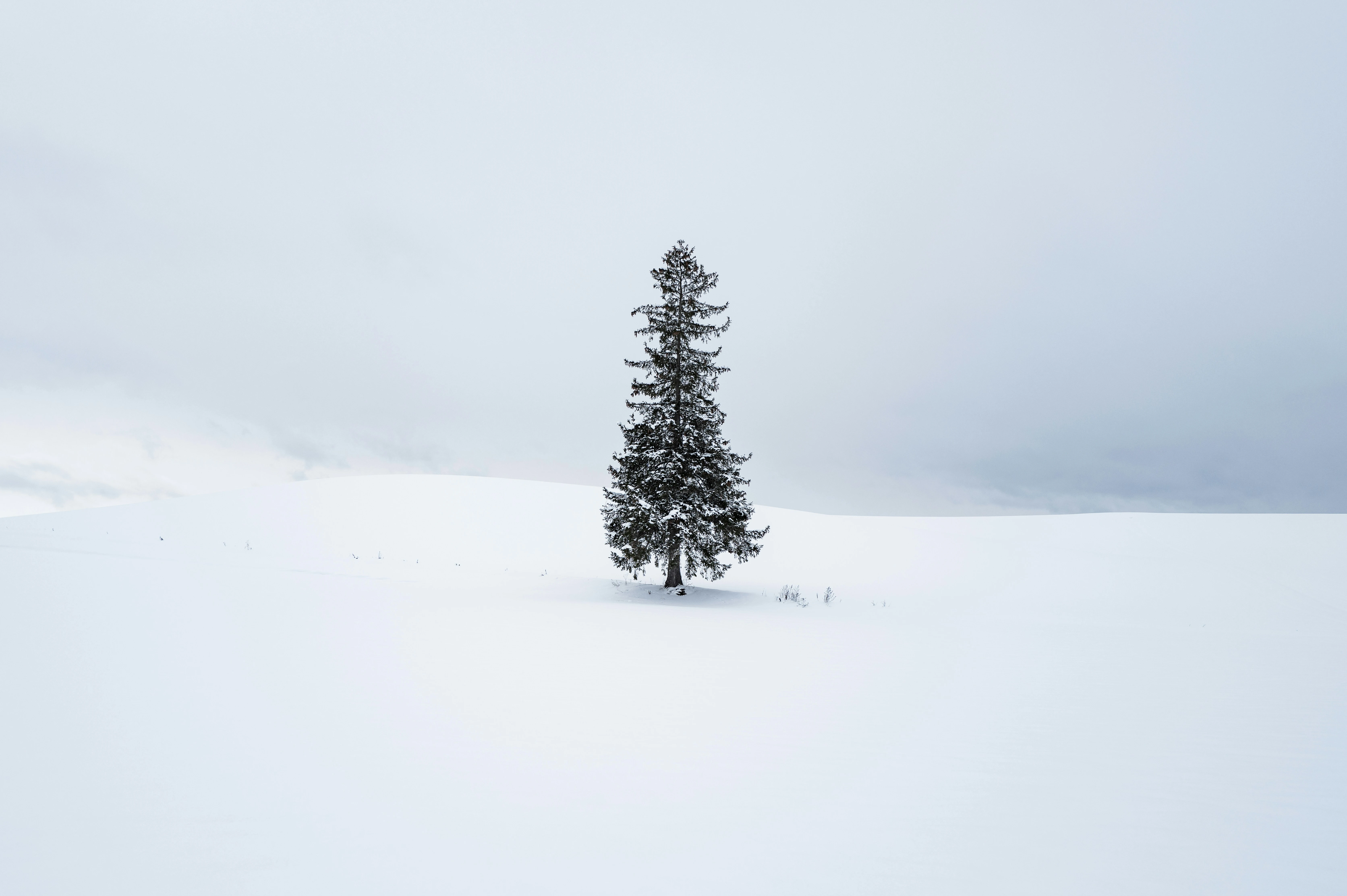 唯美雪景风光 冬日美景 高清素材