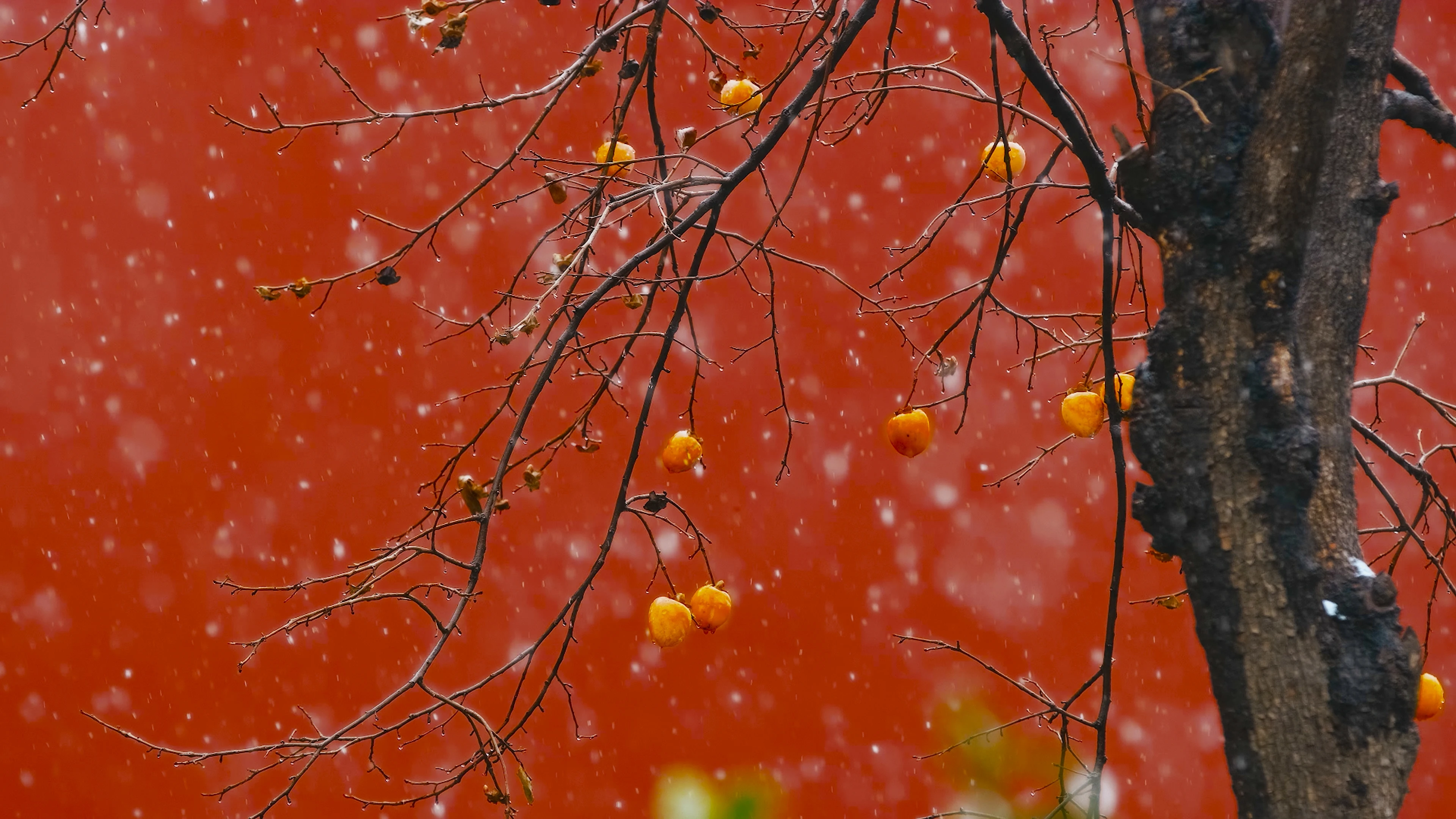 纯净雪景风光 冬日美景 高清素材