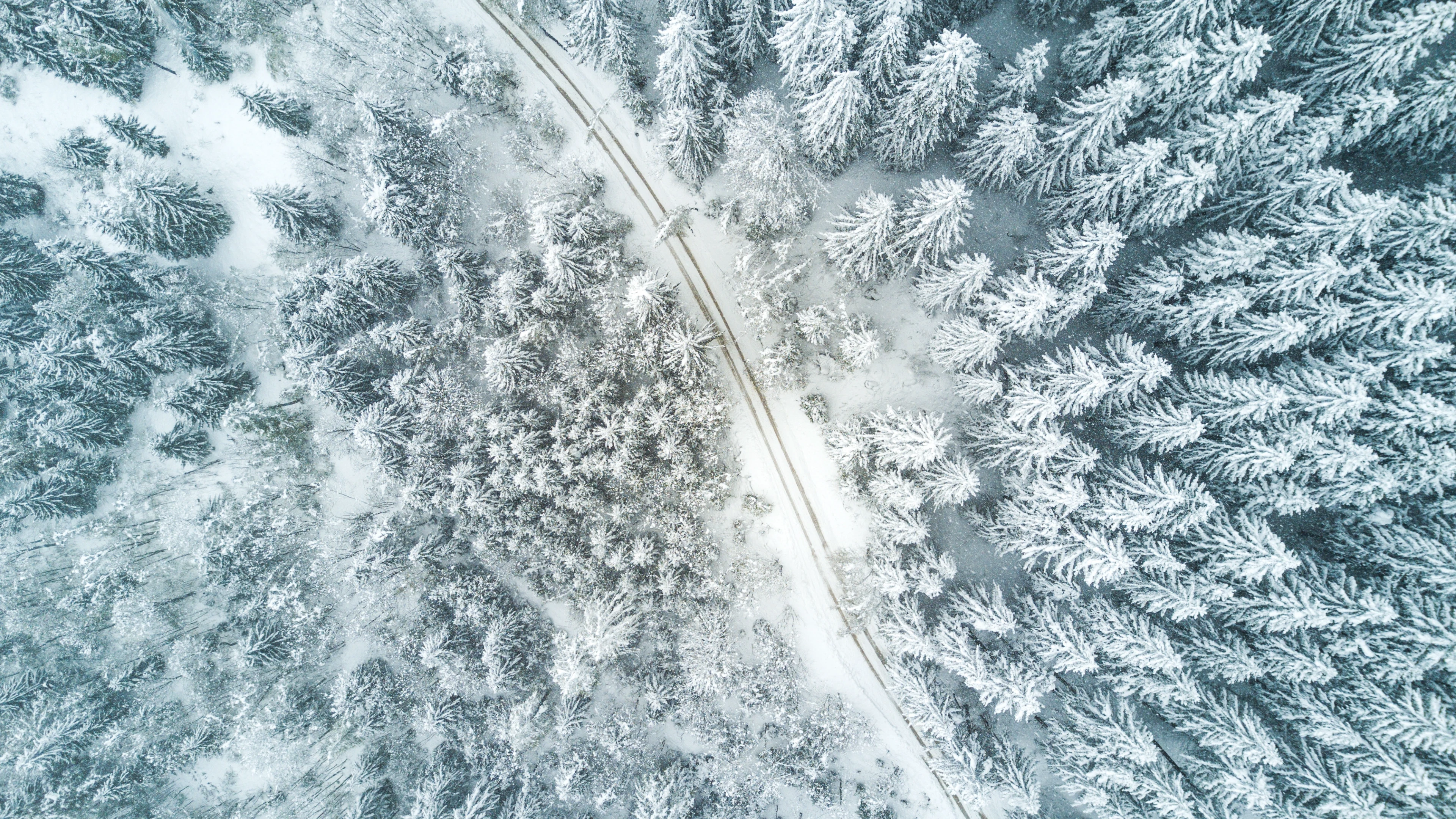 清新自然的 雪景自然风景 自然摄影 4K超清图 4K风景壁纸