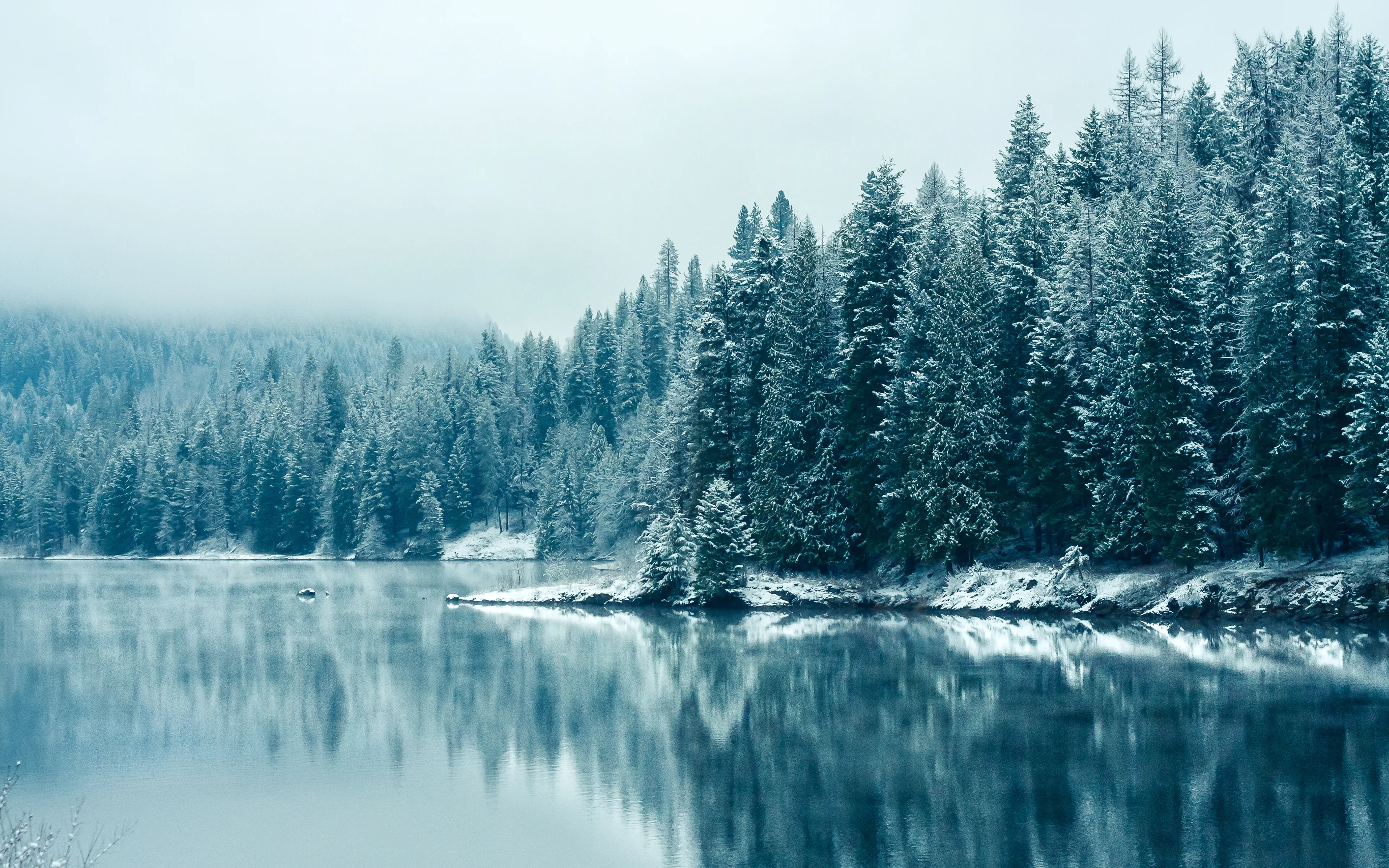 清新自然的 雪景自然风景 自然摄影 4K超清图 4K风景壁纸