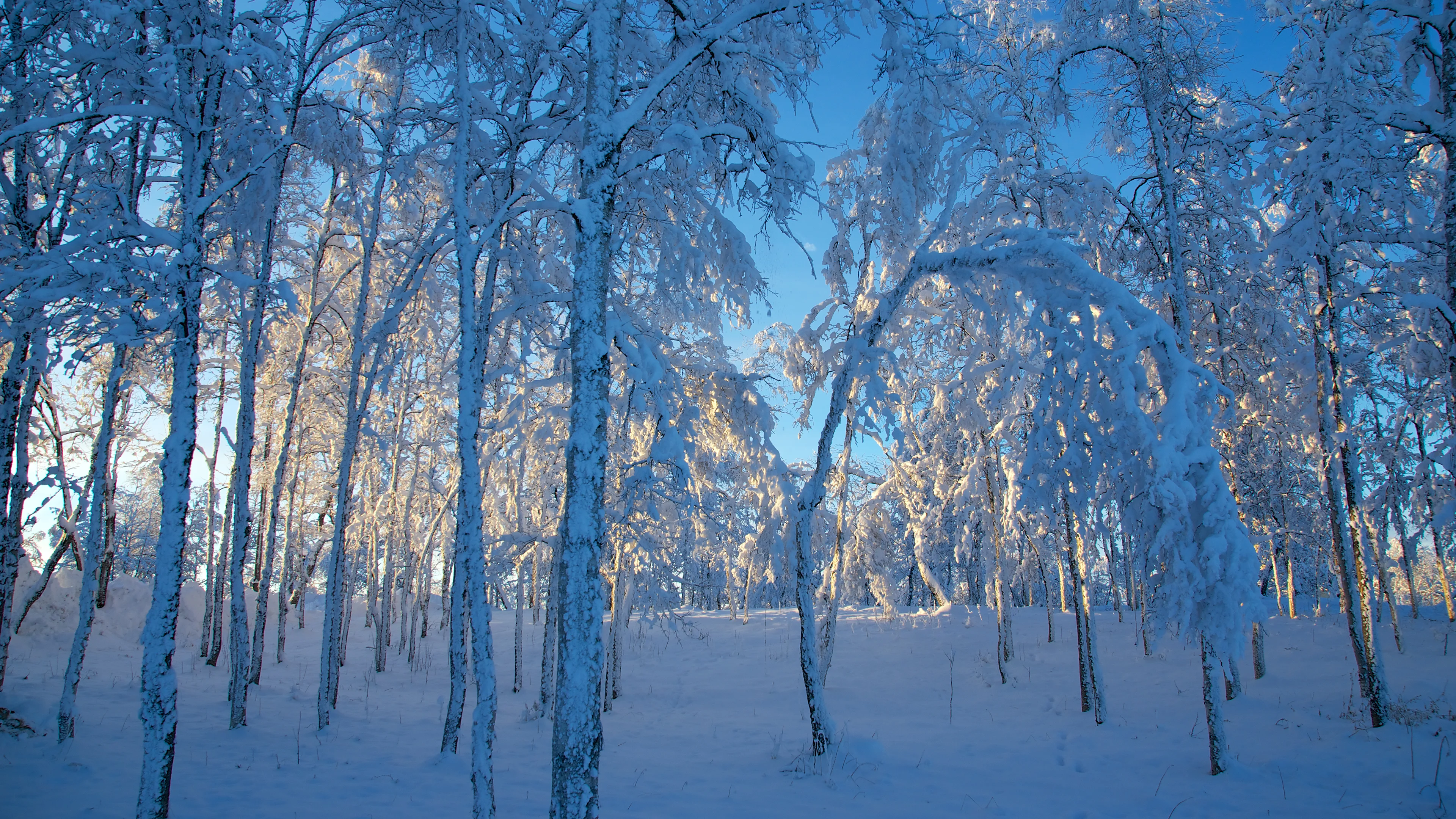 清新自然的 雪景自然风景 自然摄影 4K超清图 4K风景壁纸