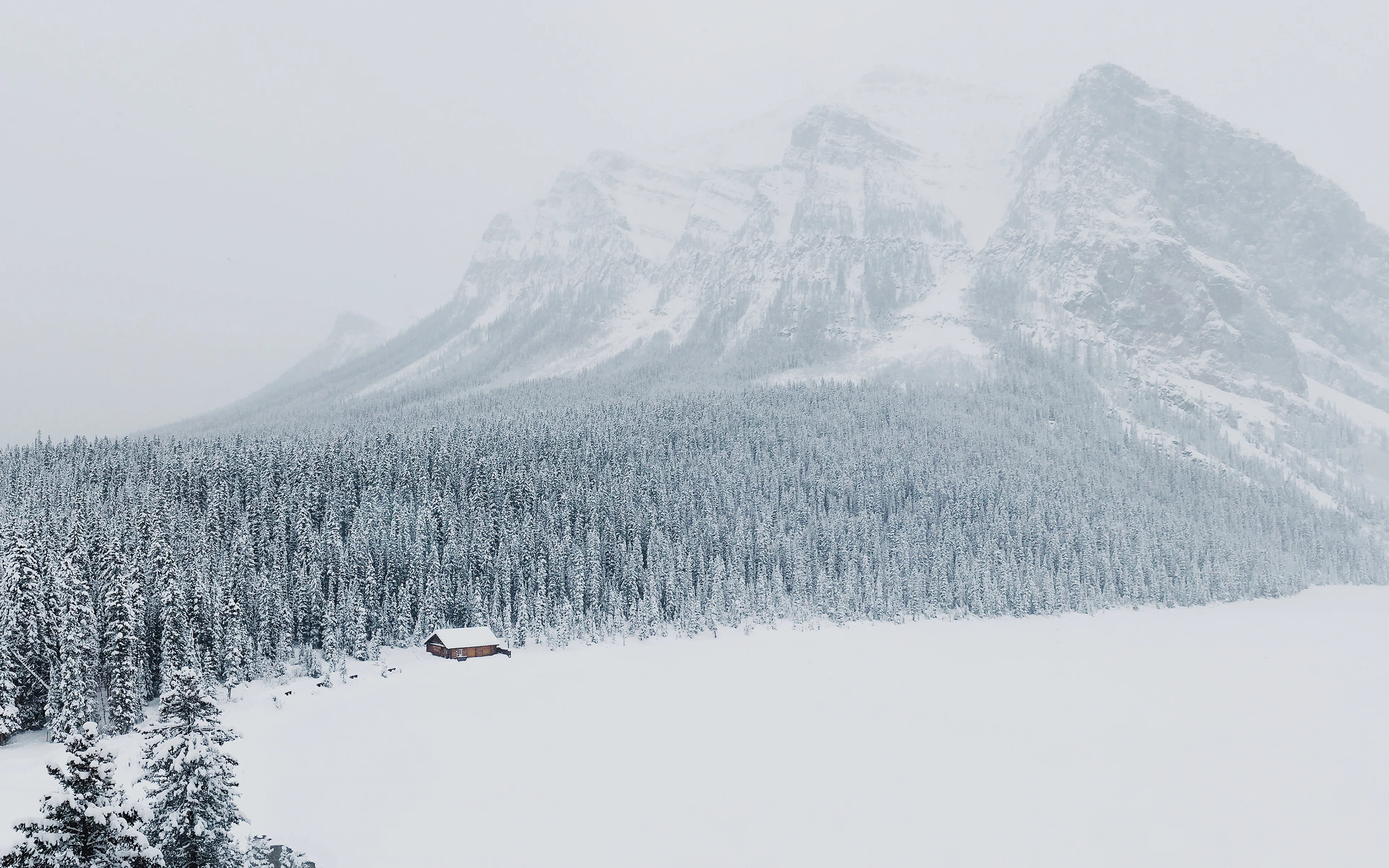 清新自然的 雪景自然风景 自然摄影 4K超清图 4K风景壁纸