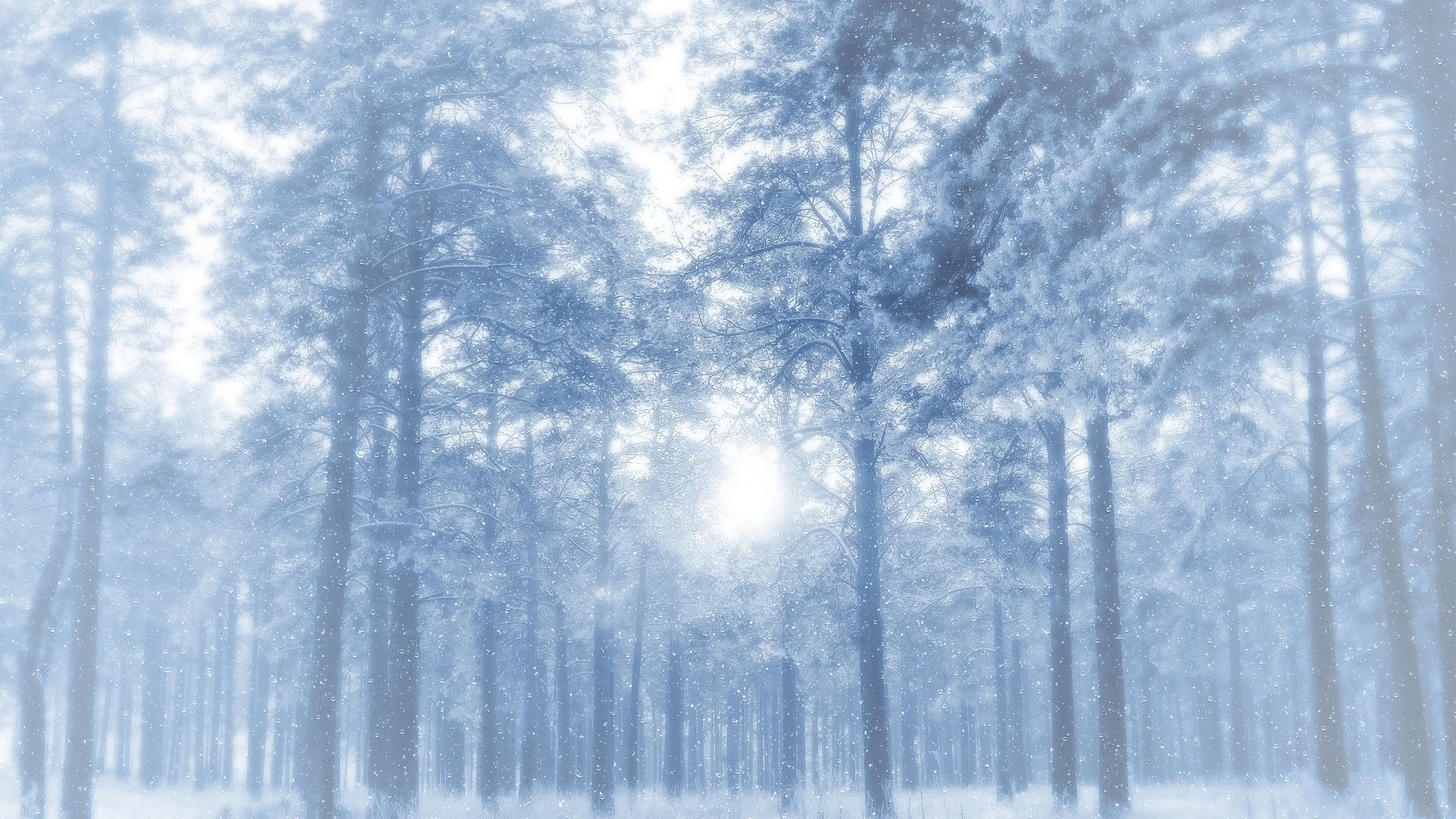 清新自然的 雪景自然风景 自然摄影 4K超清图 4K风景壁纸