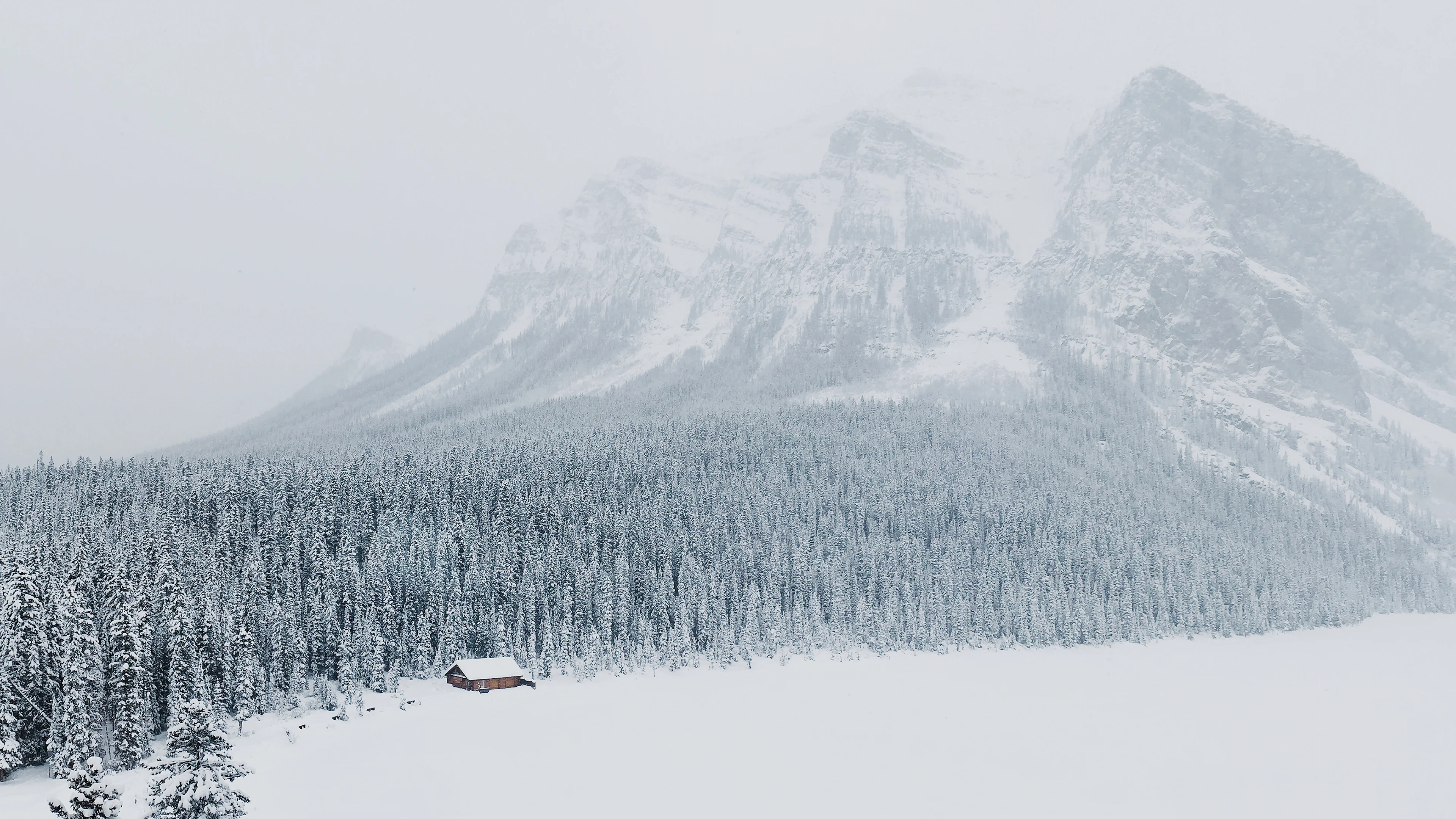 清新自然的 雪景自然风景 自然摄影 4K超清图 4K风景壁纸