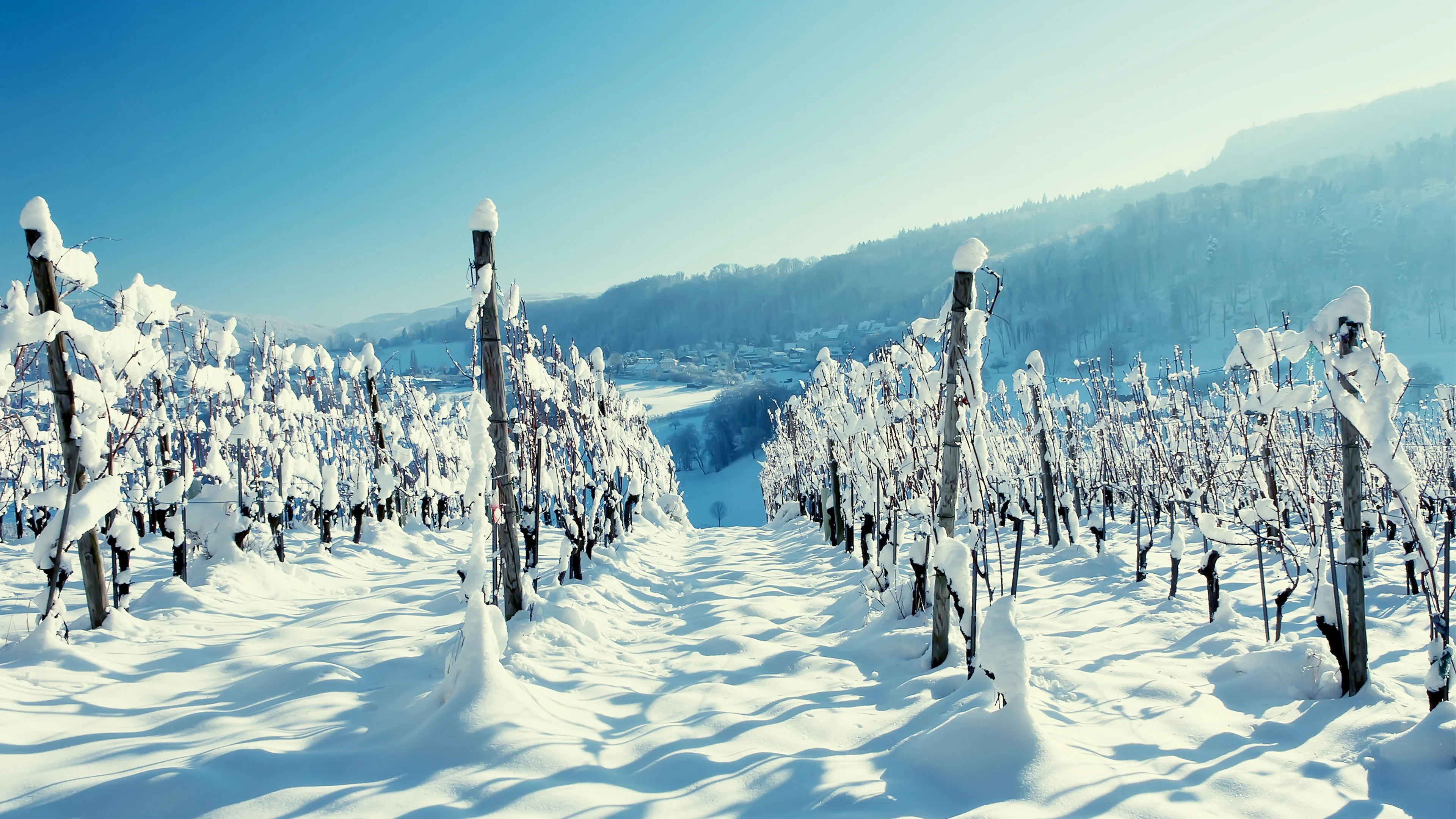 清新自然的 雪景自然风景 自然摄影 4K超清图 4K风景壁纸