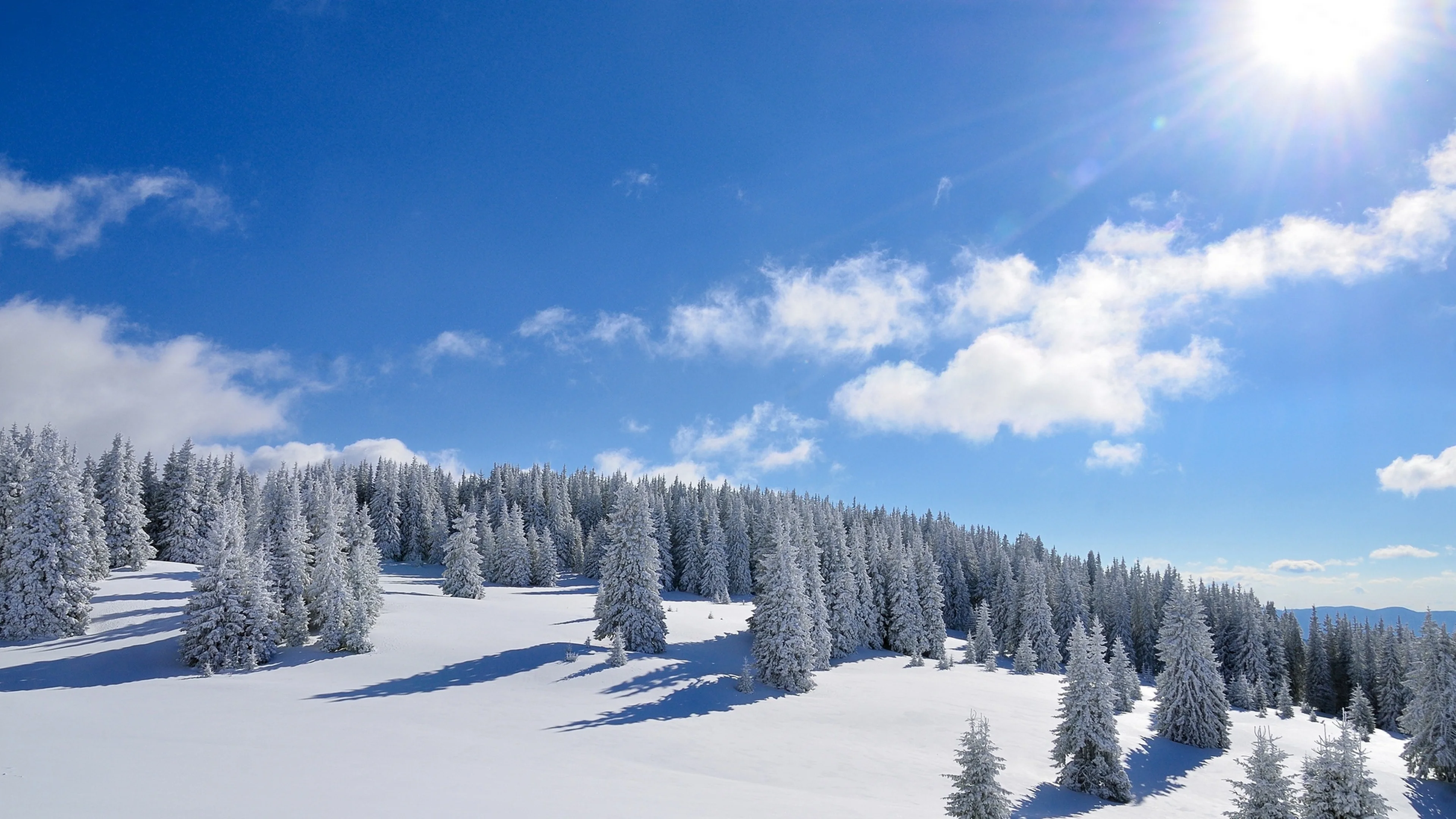 清新自然的 雪景自然风景 自然摄影 4K超清图 4K风景壁纸