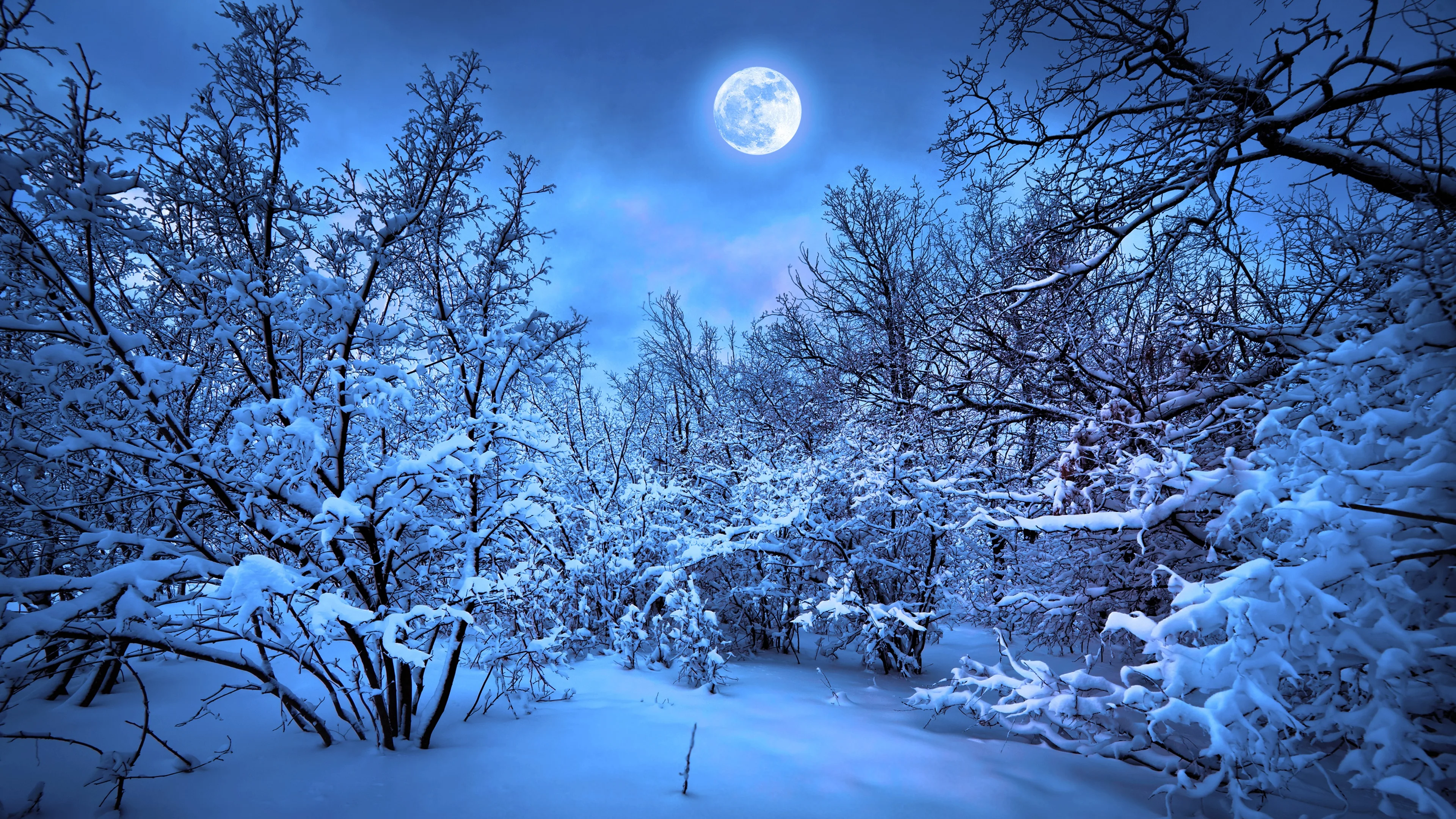 清新自然的 雪景自然风景 自然摄影 4K超清图 4K风景壁纸