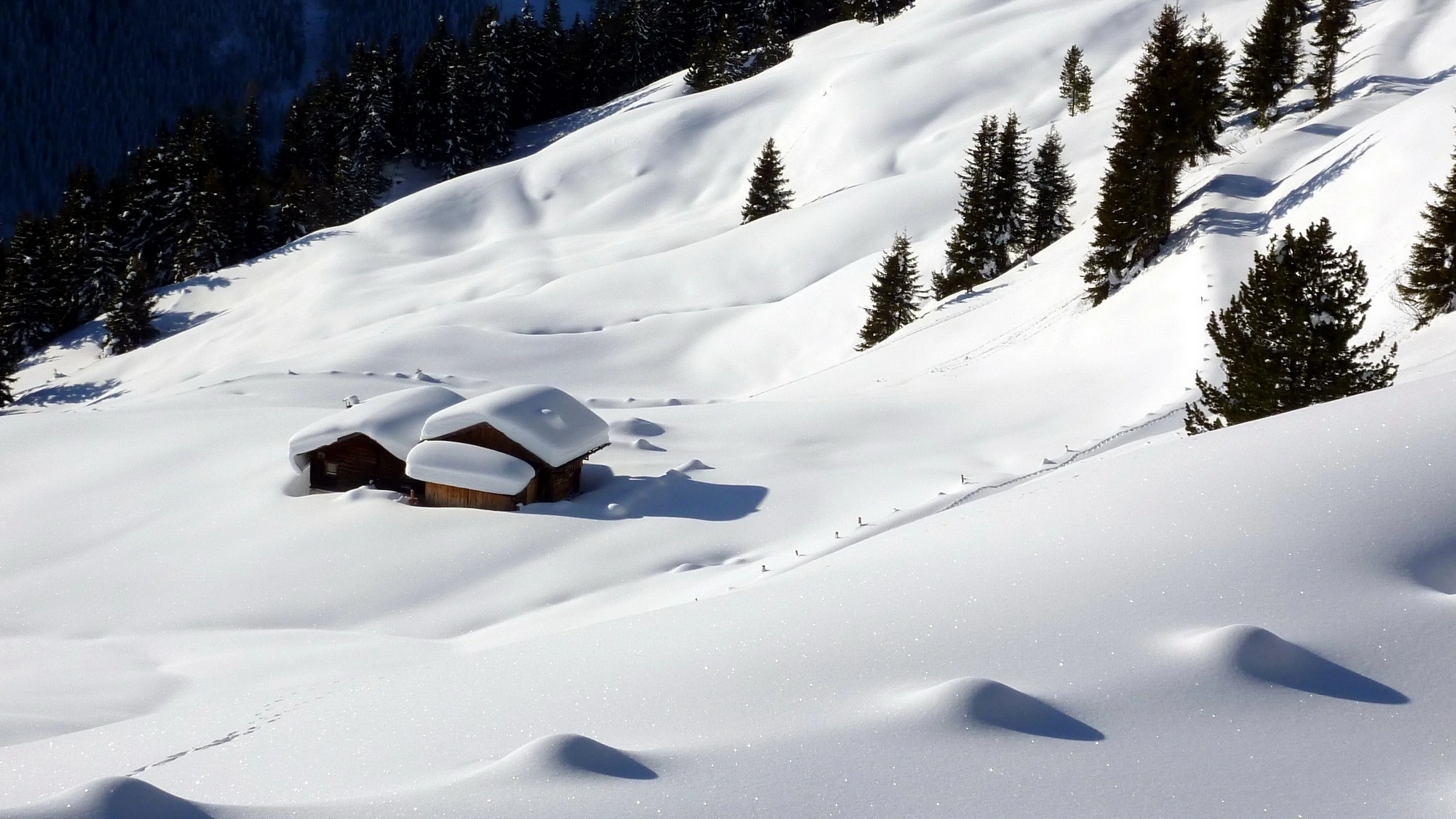 清新自然的 雪景自然风景 自然摄影 4K超清图 4K风景壁纸